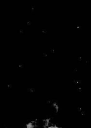 @★✩° 。⋆ Raeven ⋆。°✩ ★