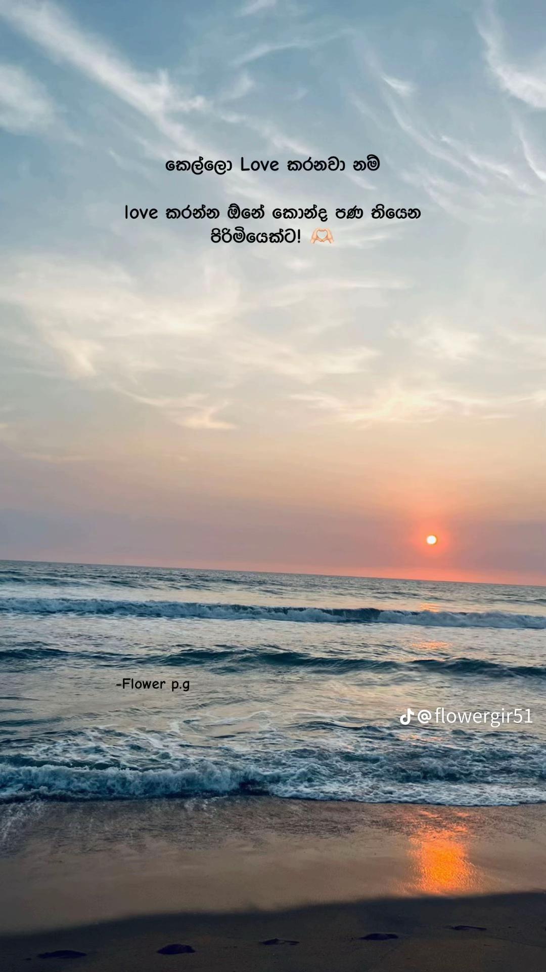@ShAsHi ᥫ᭡🌻