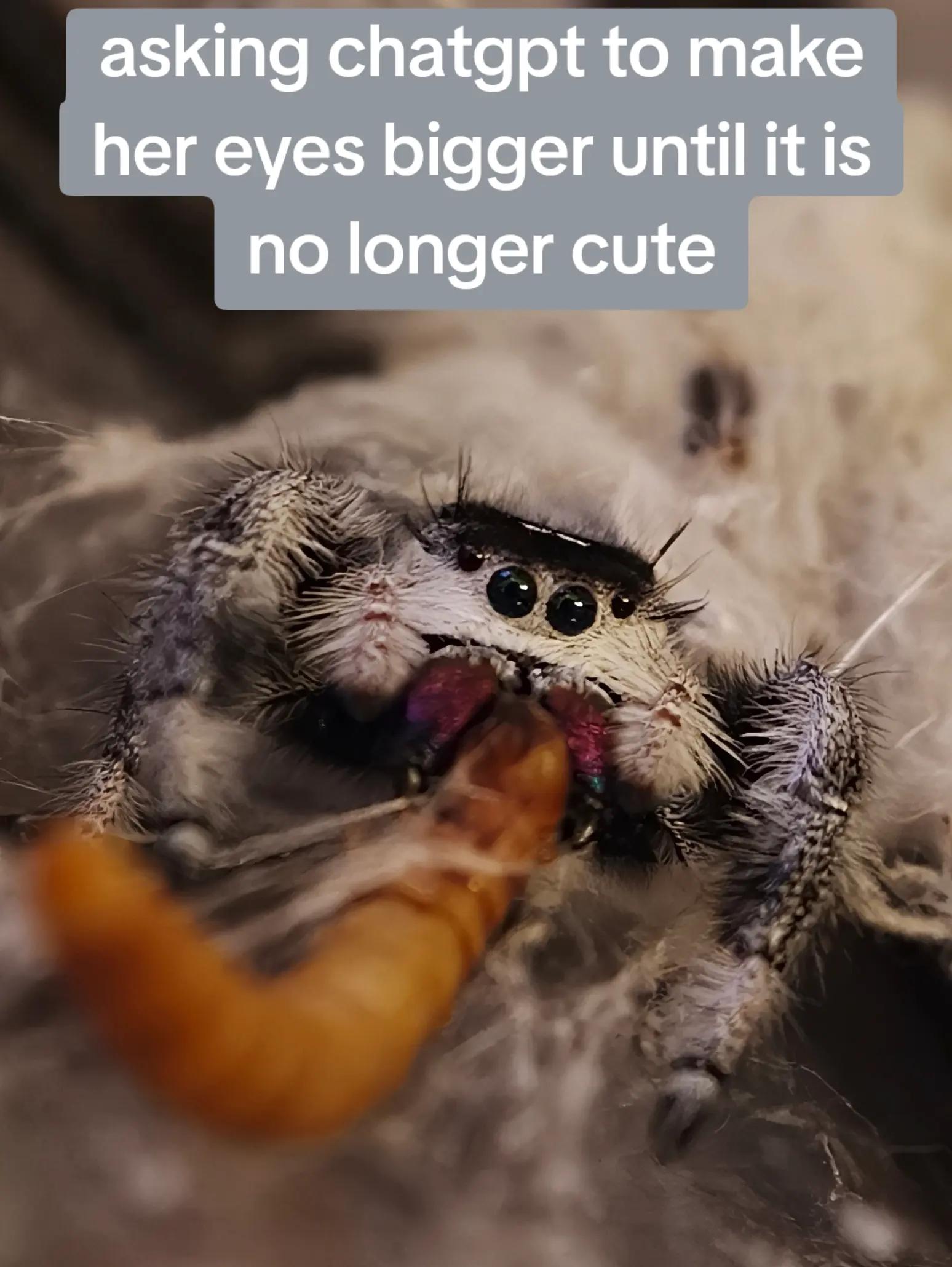 @Bestiesbeasties