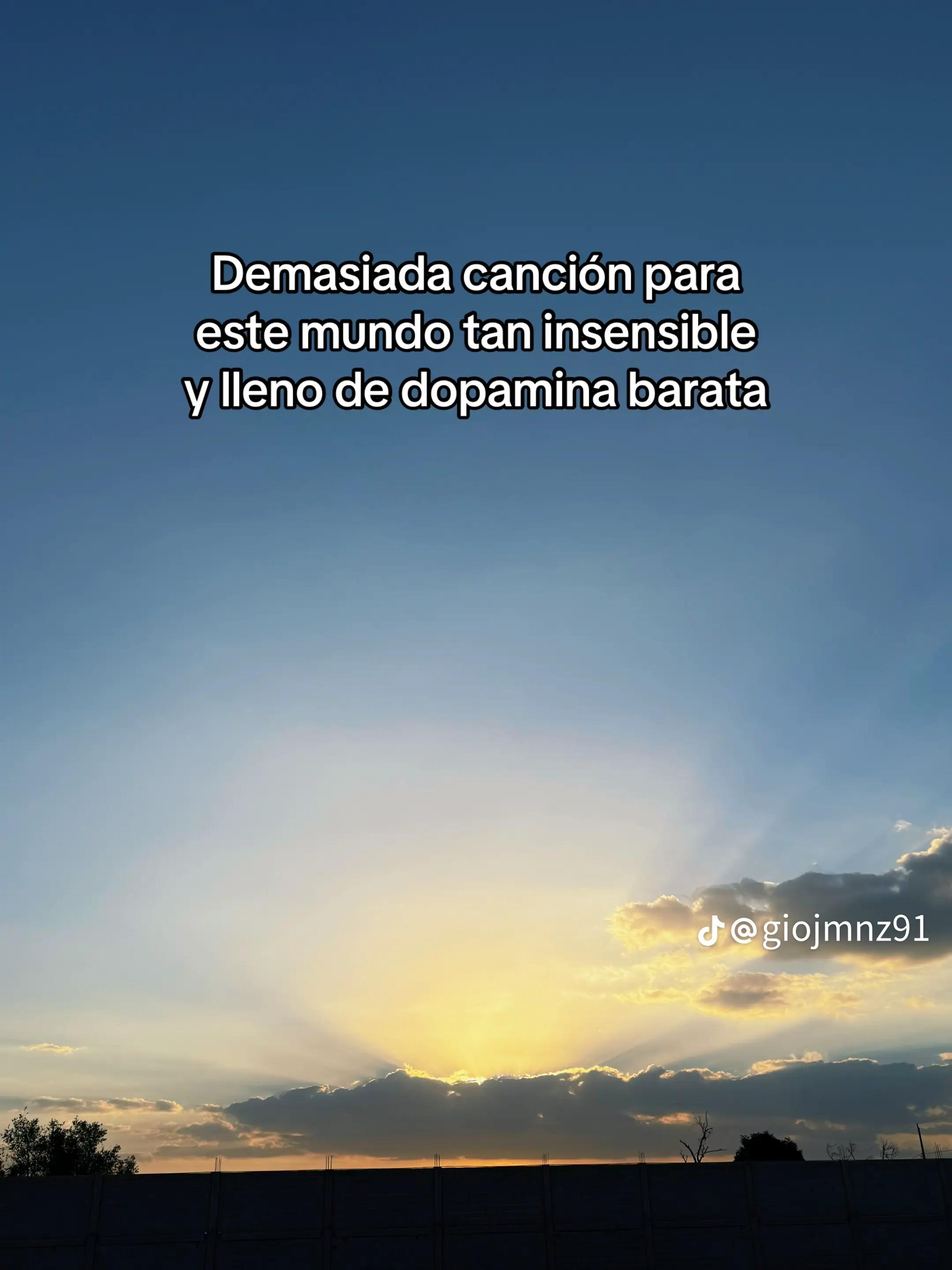 @Graciela Monterro825