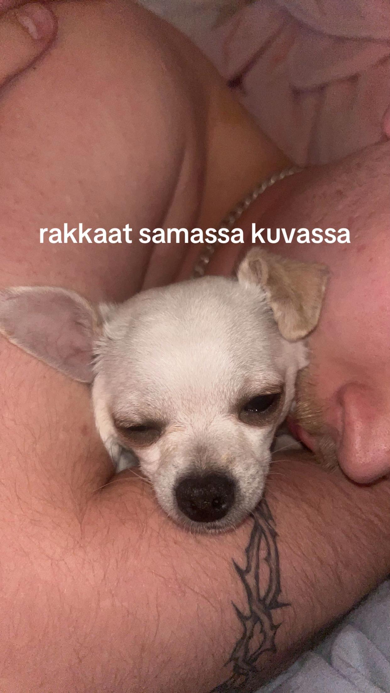 @Pinja💕