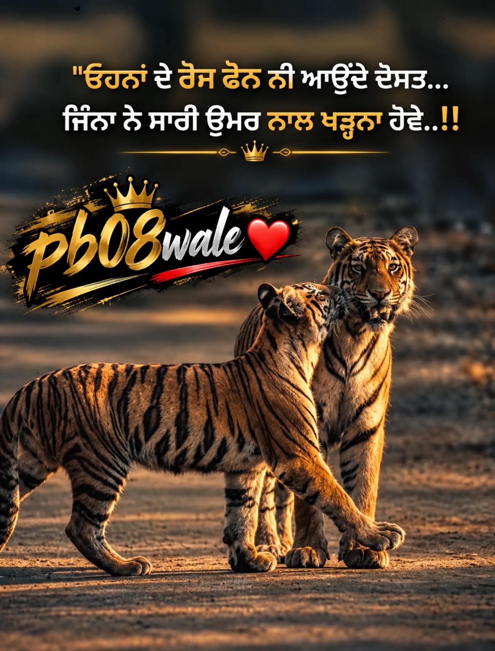 @Nijjar_PB08❤️