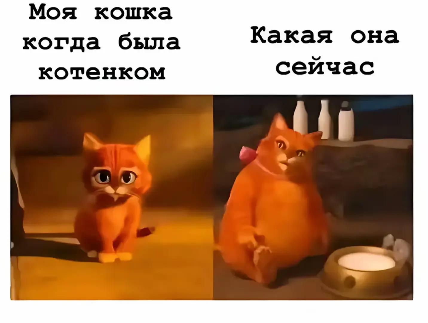 @чм