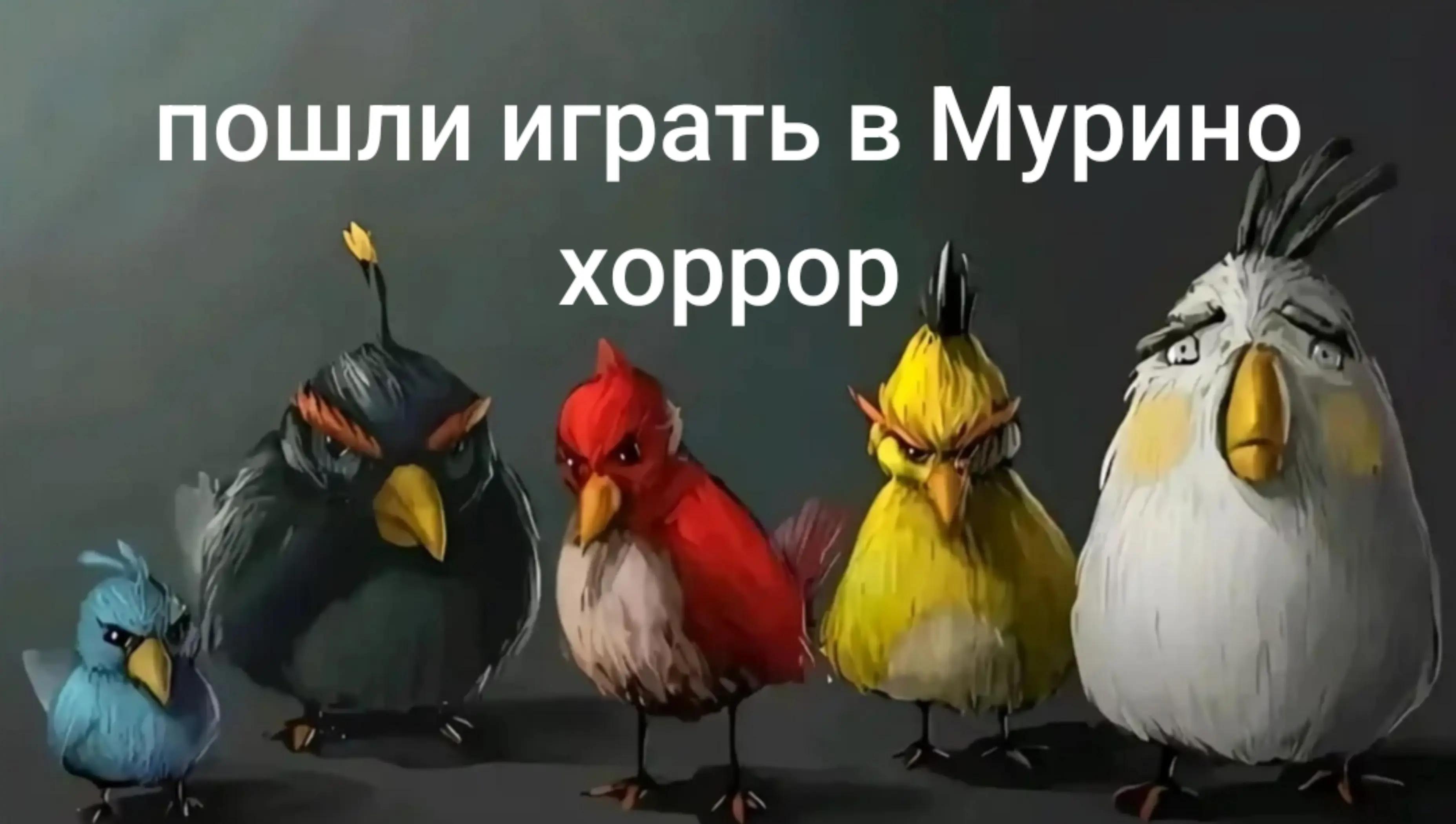 @кроличек🐰