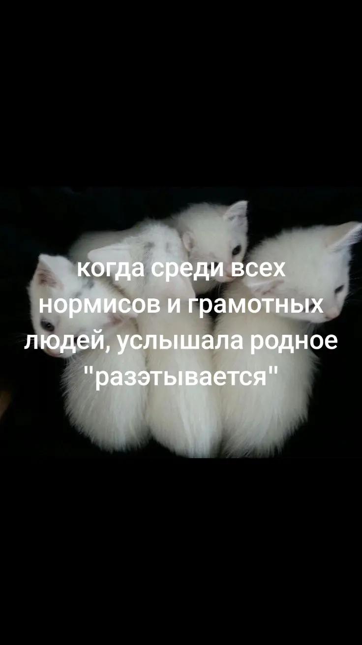 @Алиша