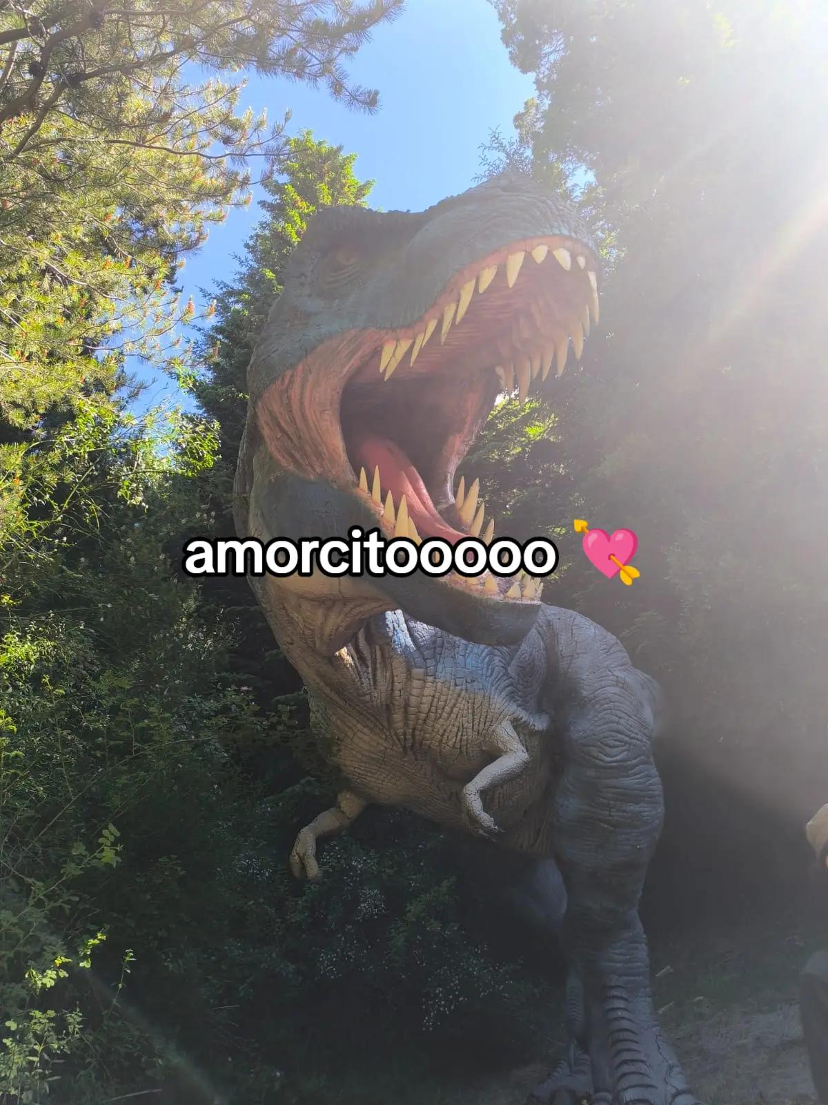 @Camí ama a Juli