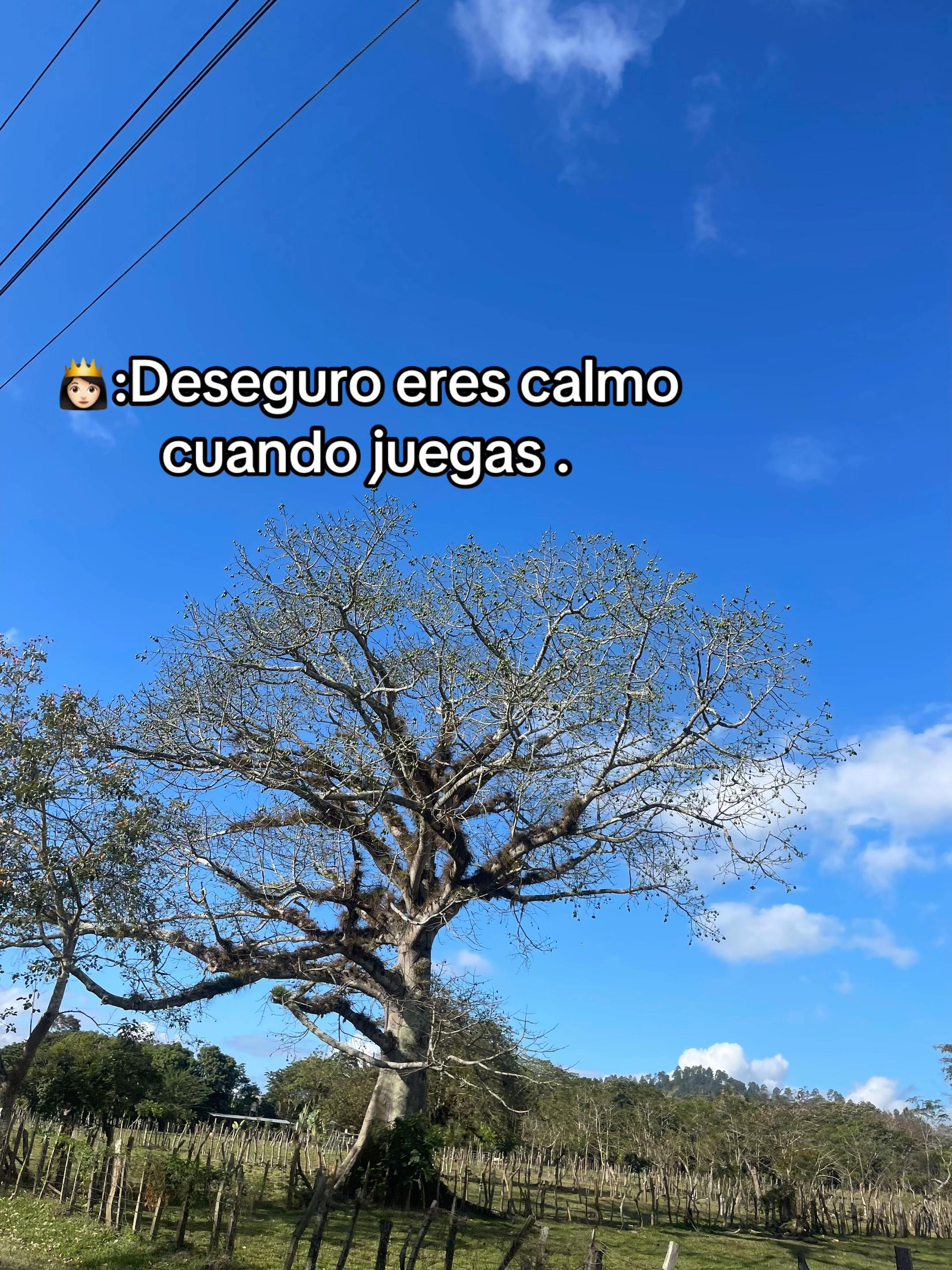 @—͟͞͞—͟͞͞★⁵⁰⁵