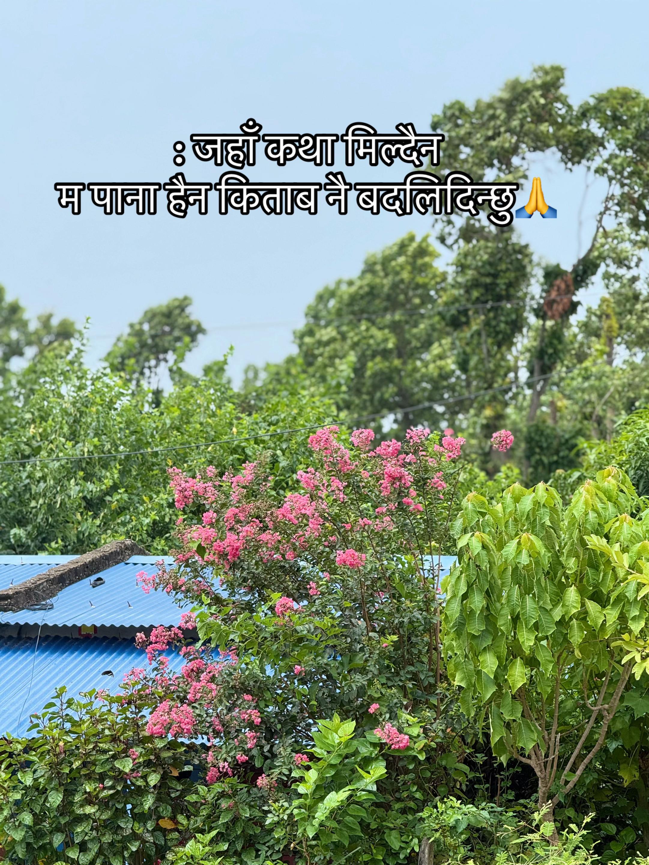 @ 🅰️nil pariyar