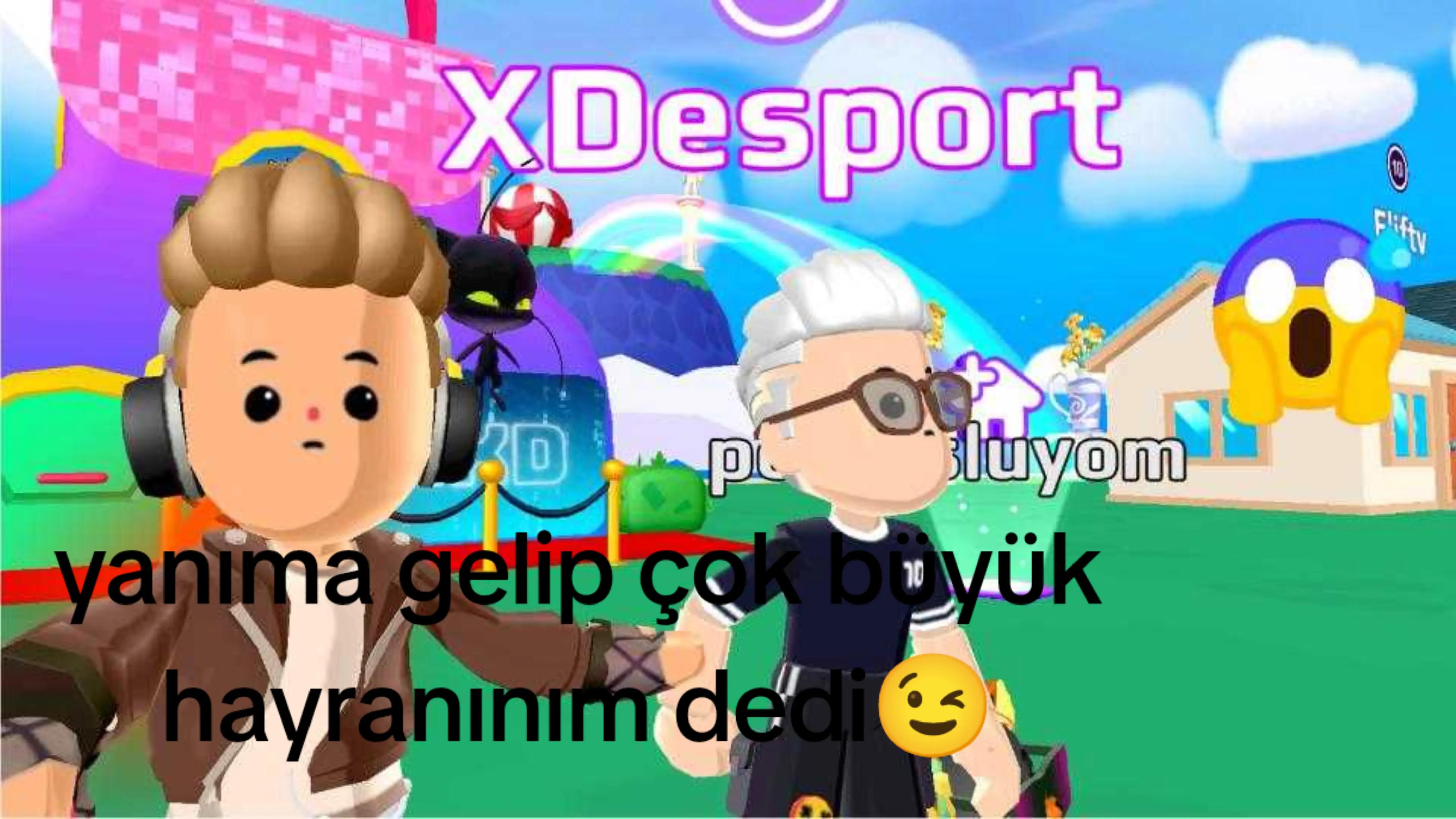 @(*_*)XDesport(TT)