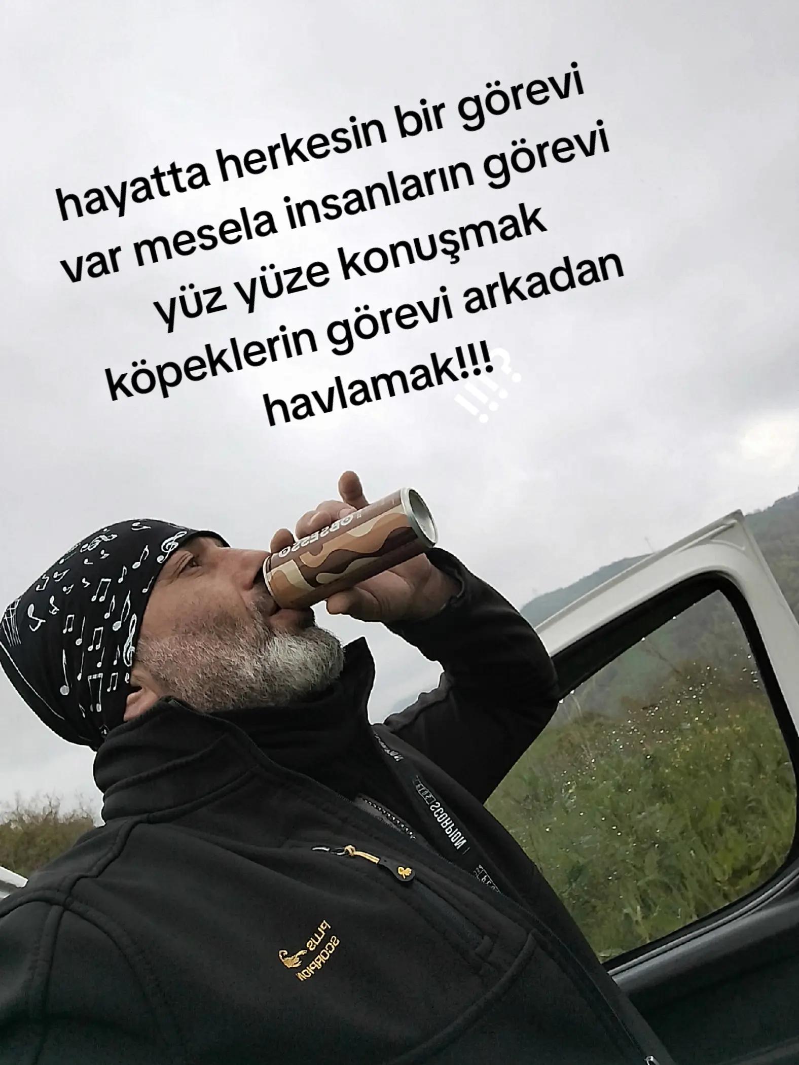 @yaşlı kurt