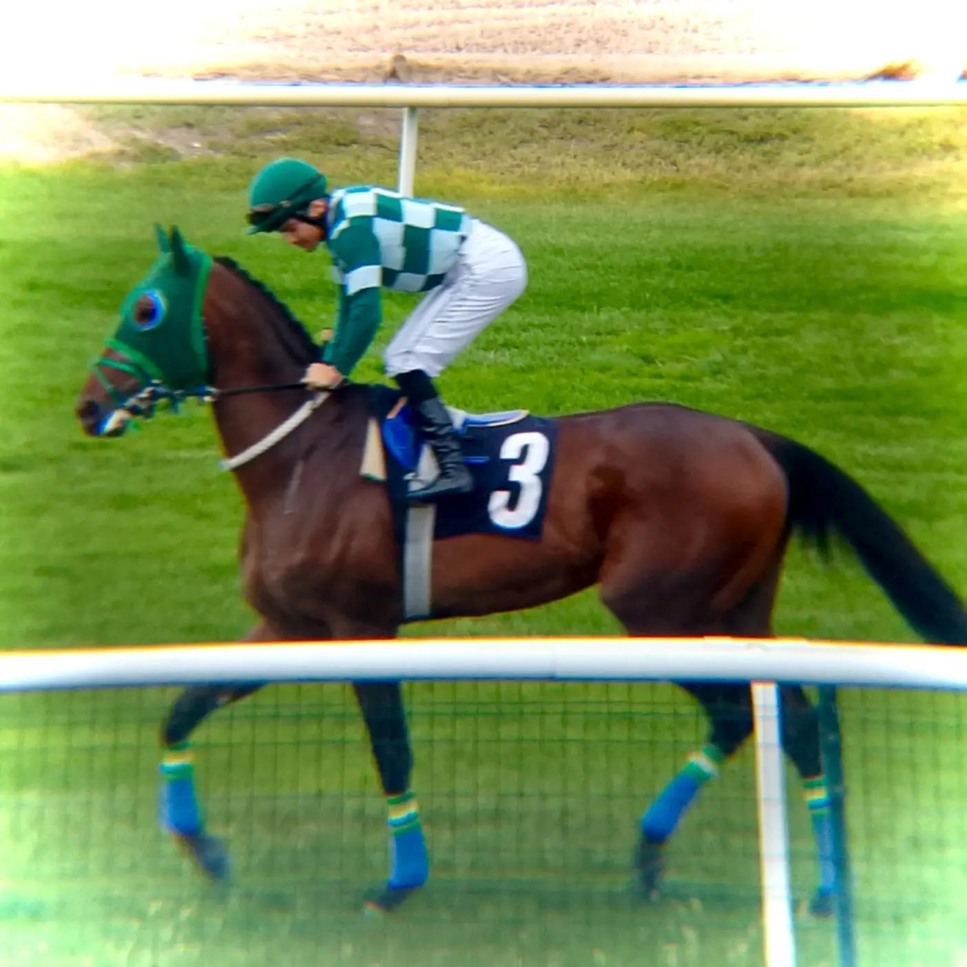 @brs horse racing