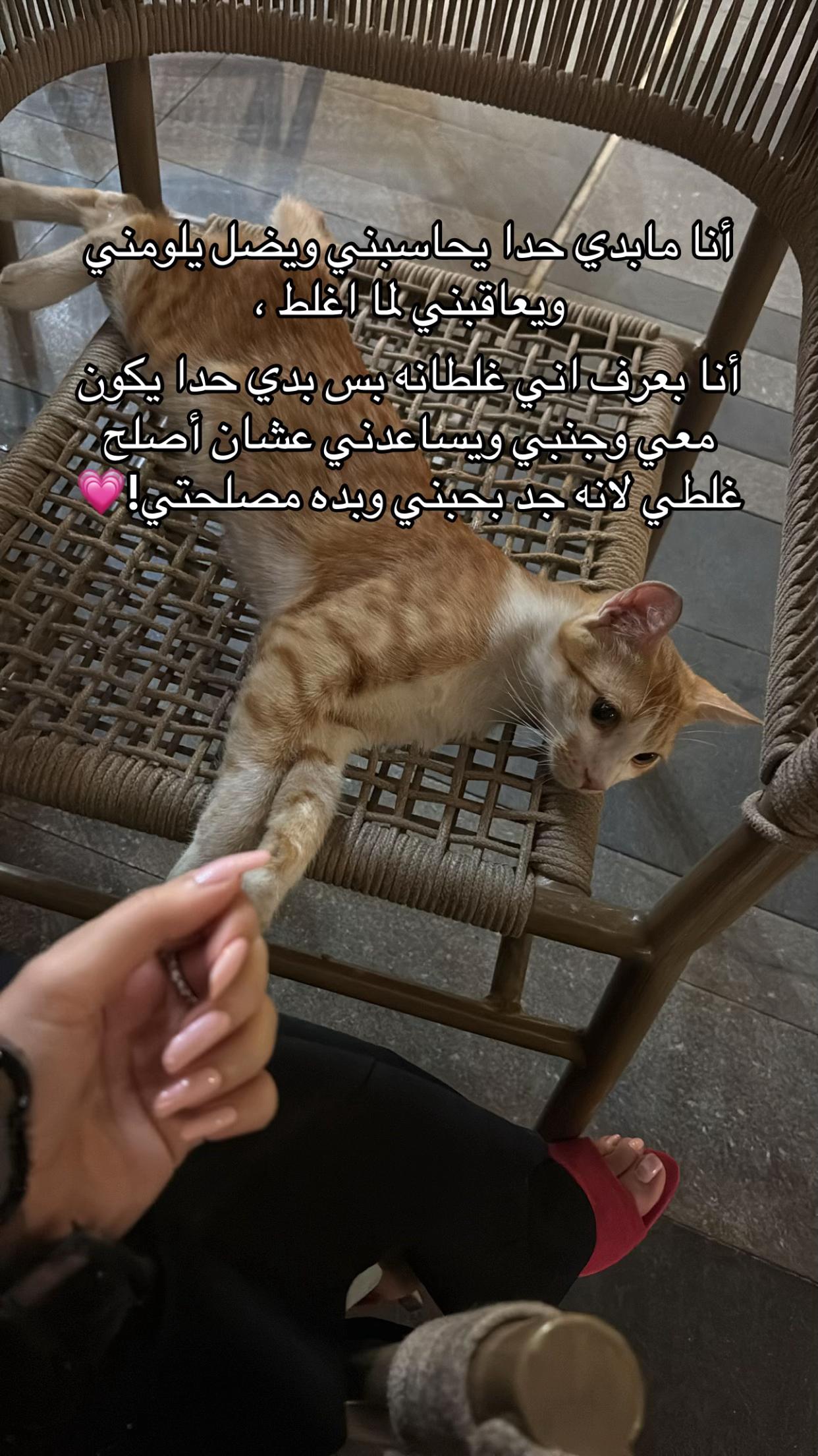 @ايمي💅🏻✨