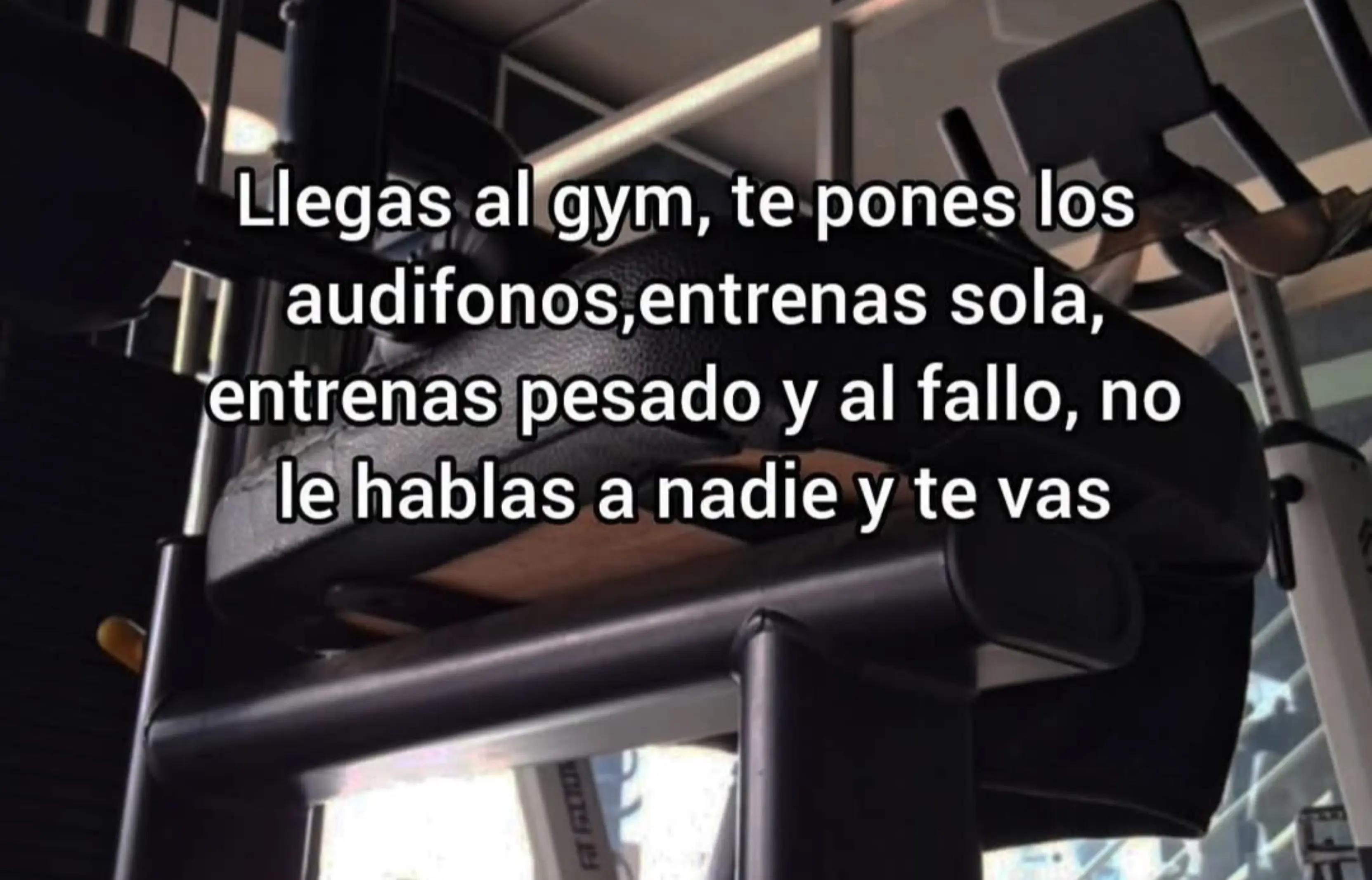 @bonita