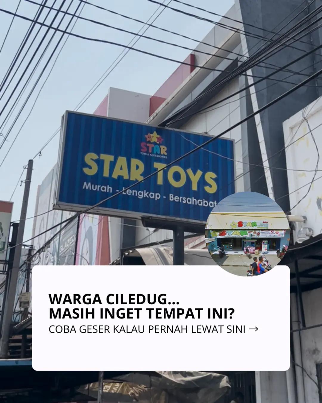 @Toko Mainan Dolphin Toys