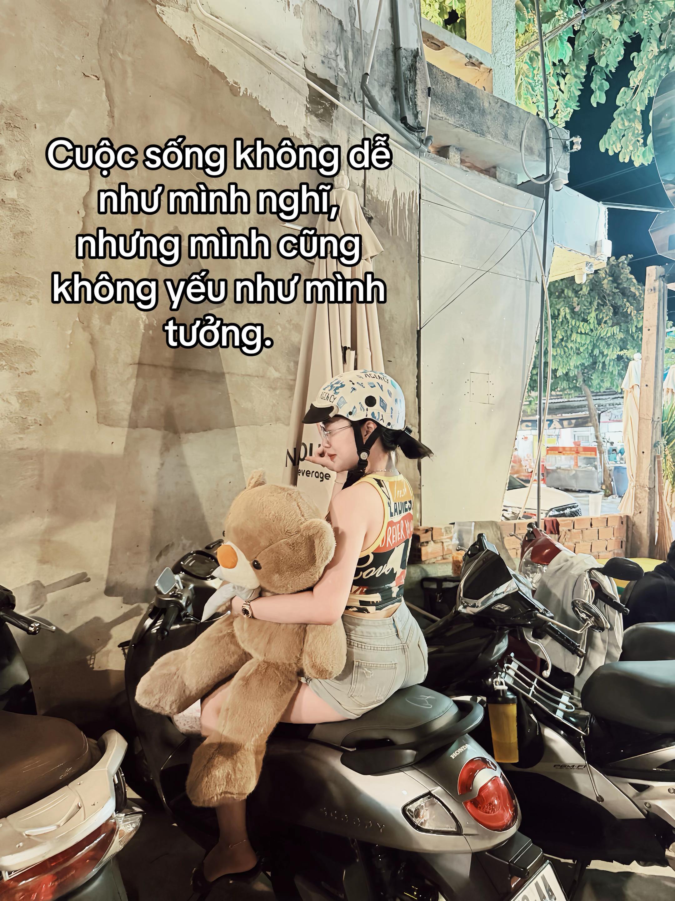 @Ung Trà Tố Như 🐱