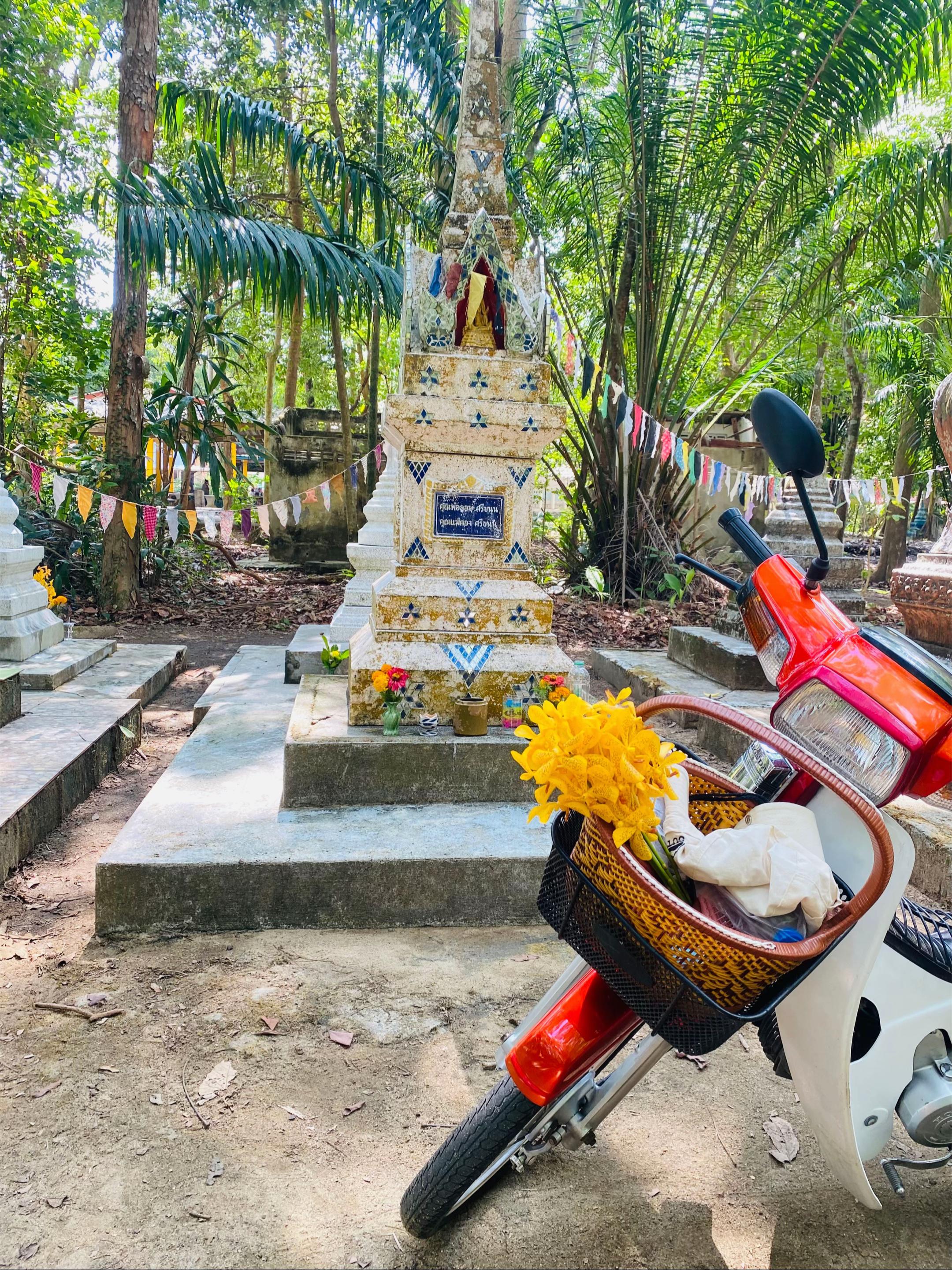 @NaNong🐒🌻