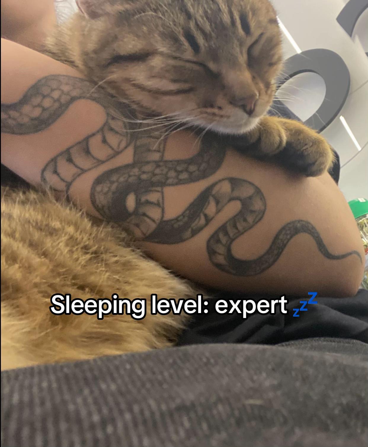@Asja 🦦
