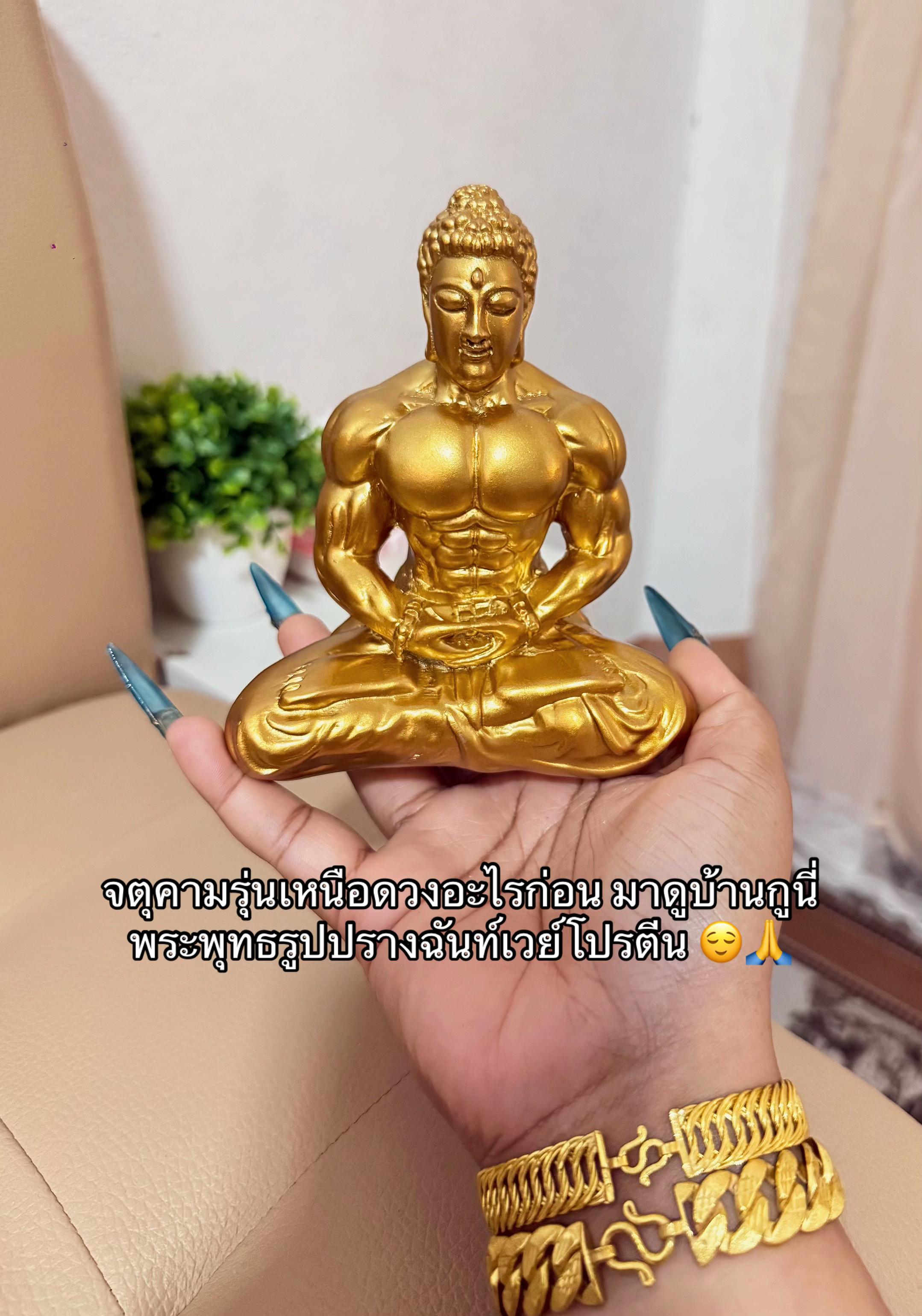 @หอบหมี หนีสงคราม🇹🇭 (128.2K)