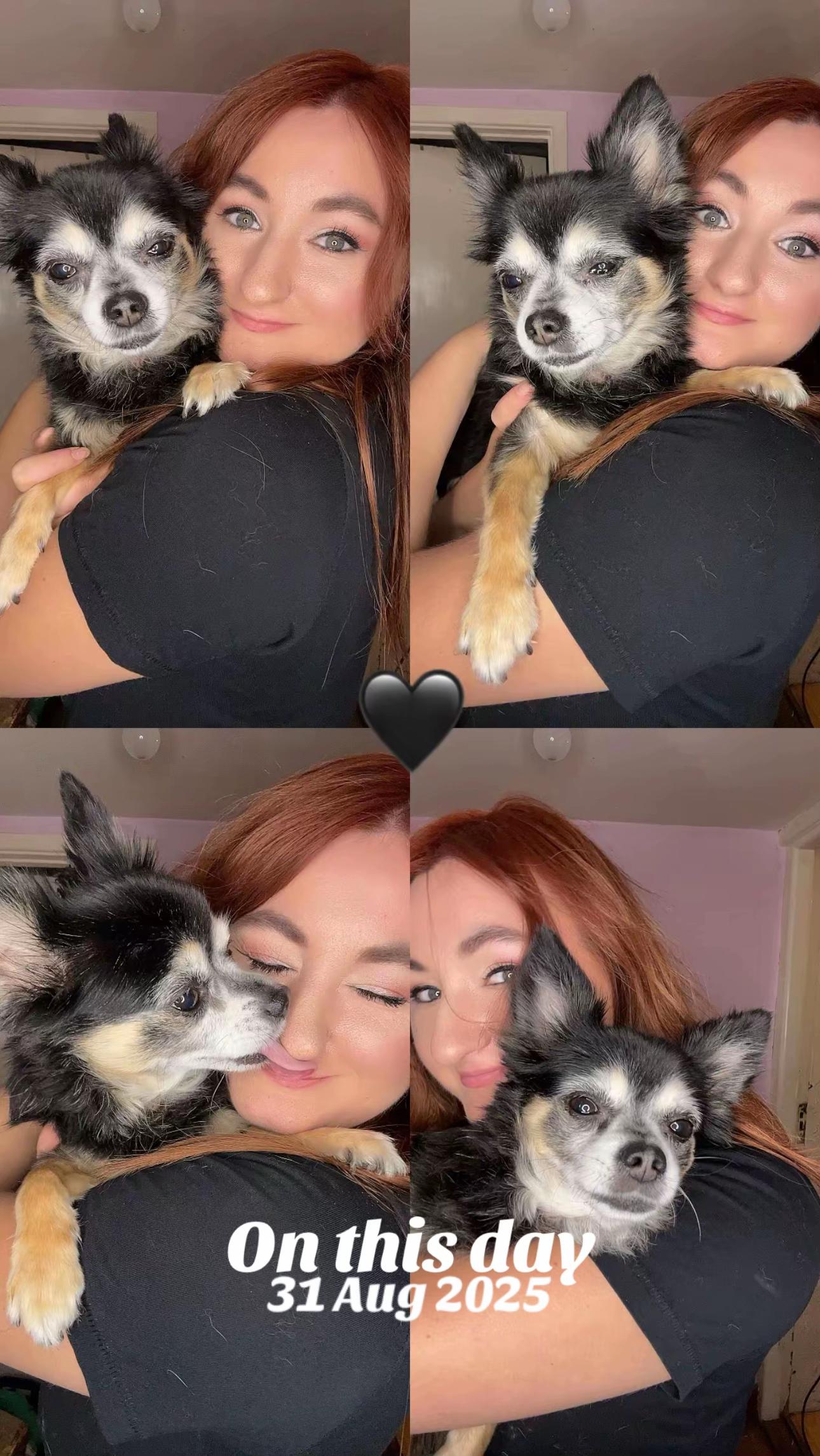 @Heidiiona + TTS🎵🐺🍫