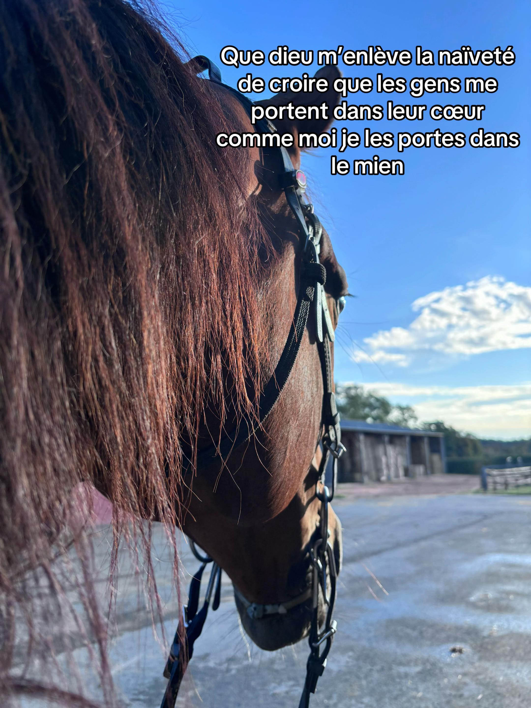 @Anais Cauchepin