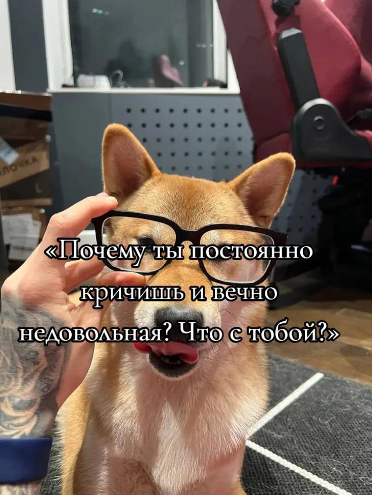 @ѕҡყℓ&iota;ии