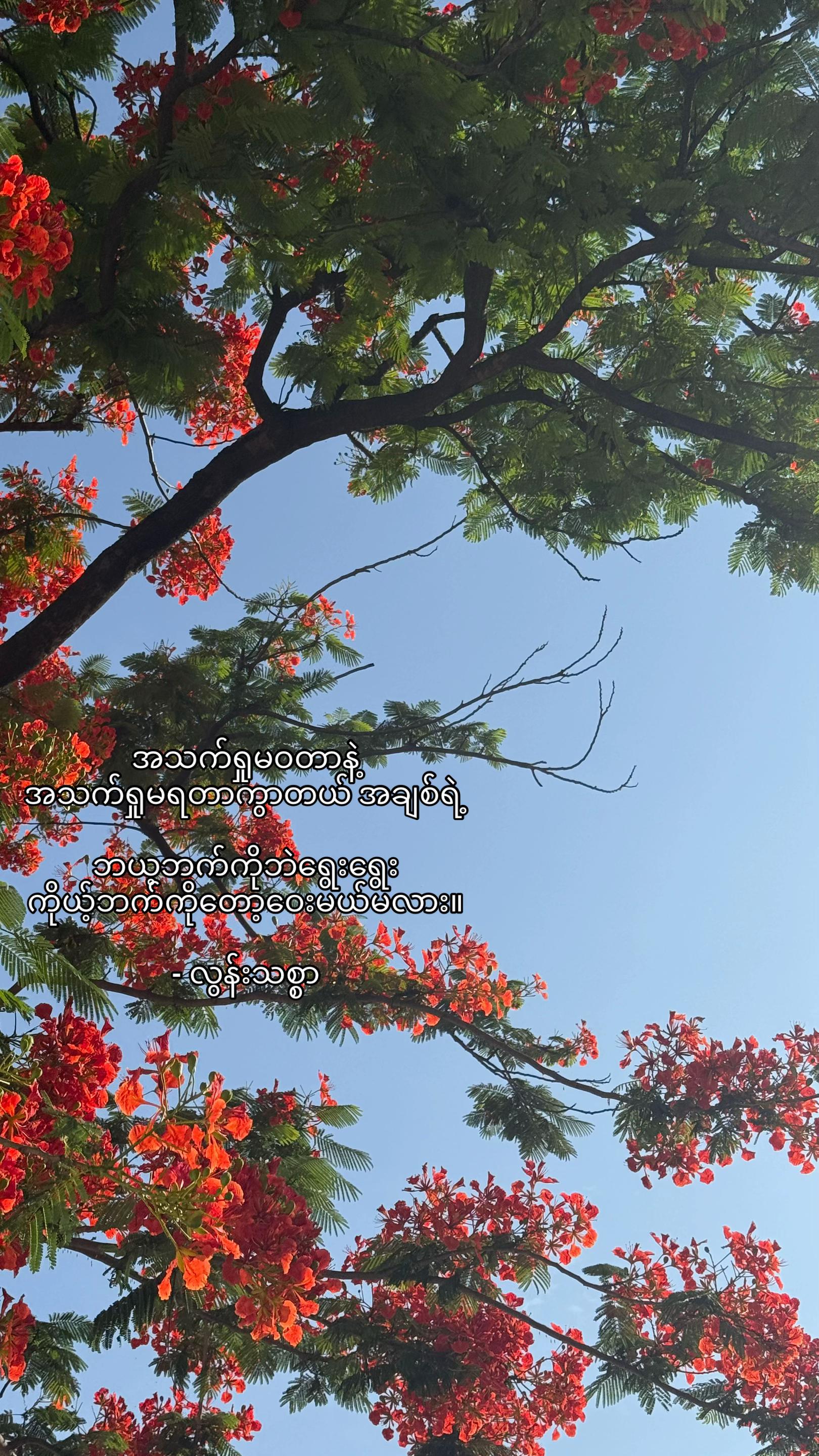 @livingsoliloquy