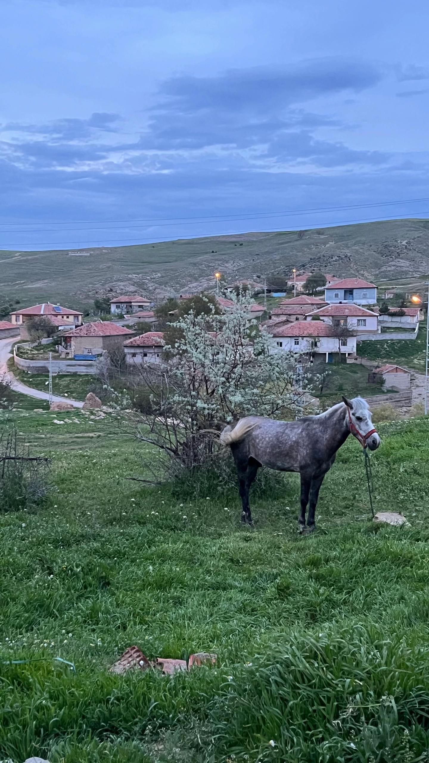 @Yerköy Hacılı Köyü