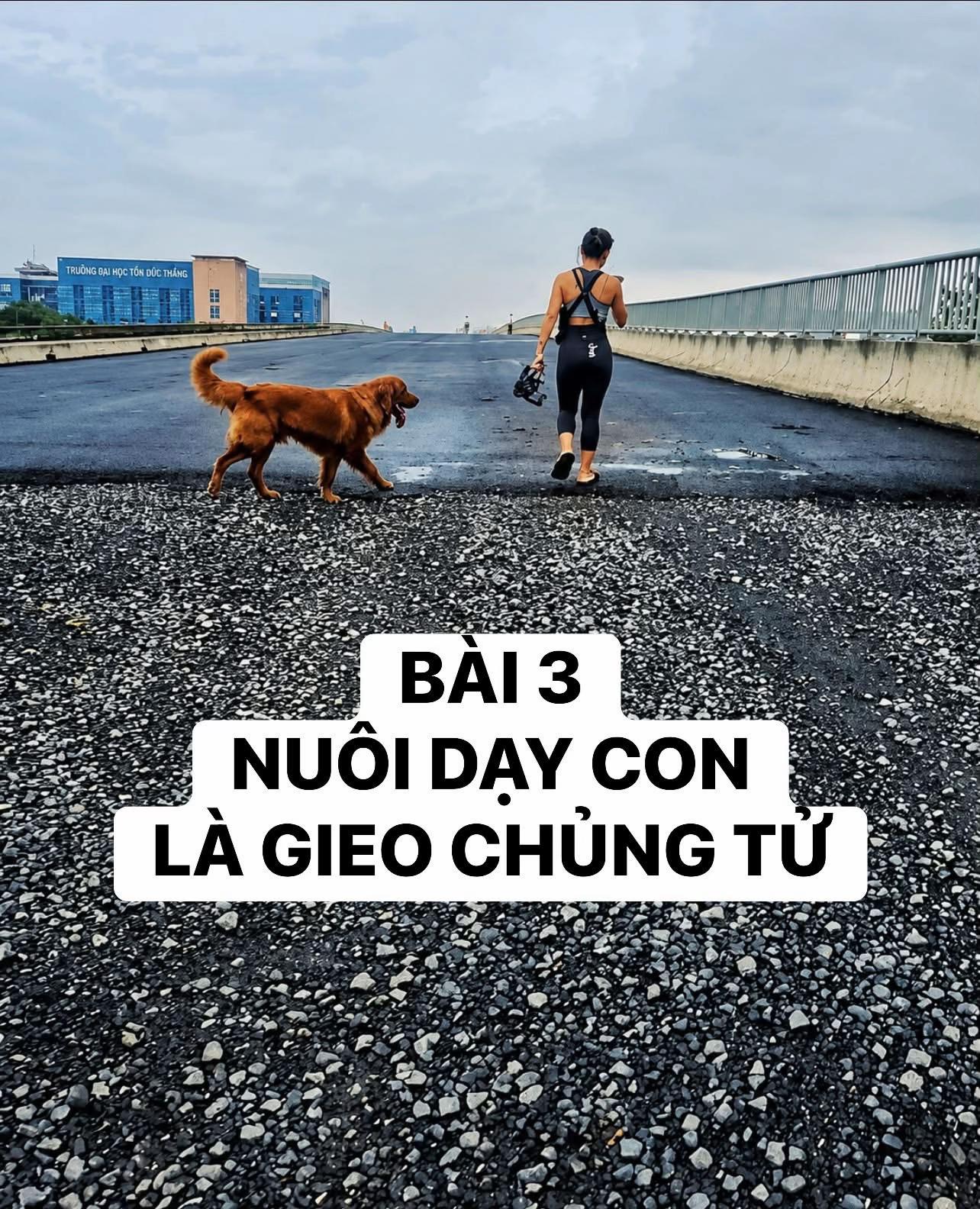 @buihoangbichtho