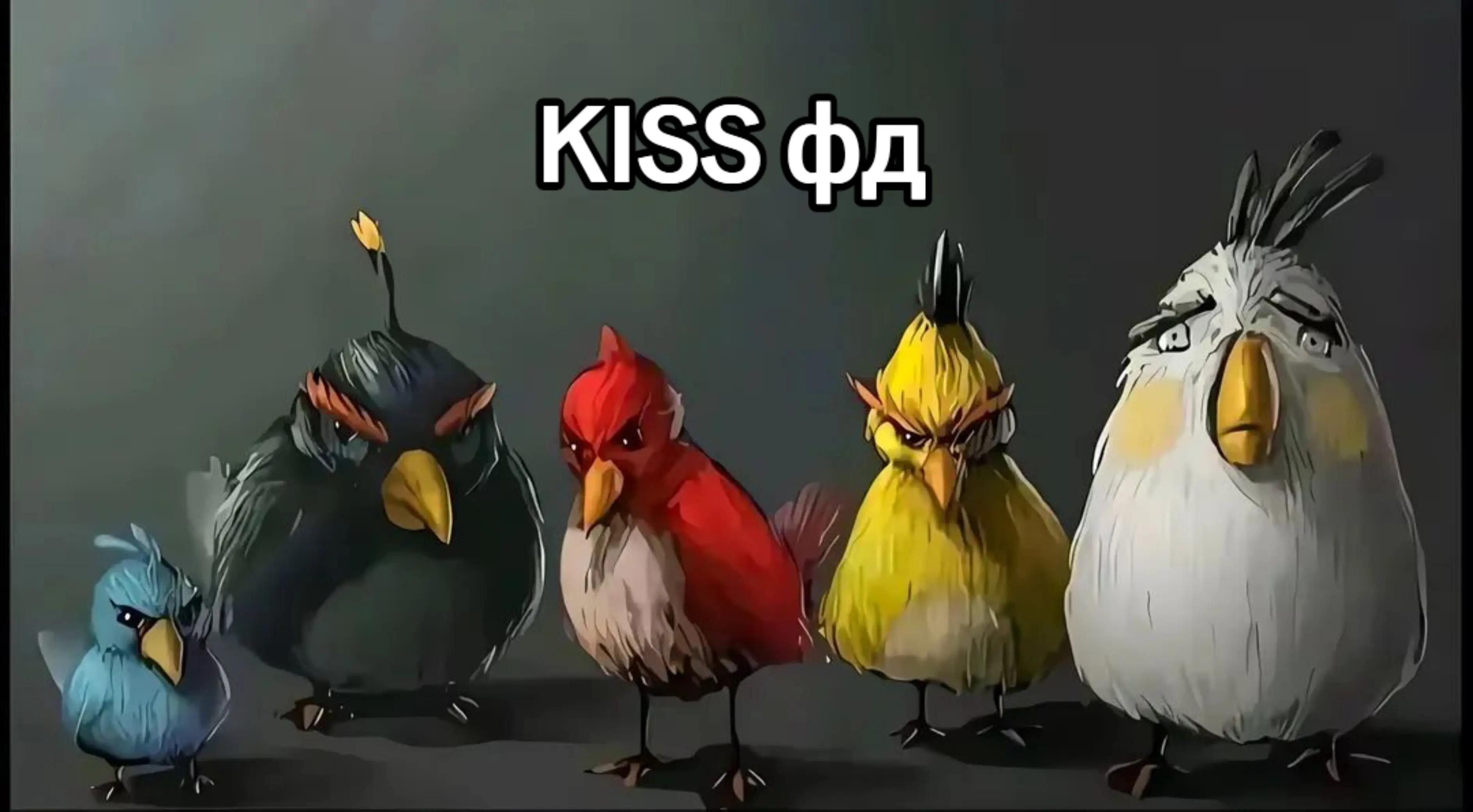 @𝘚𝘩𝘢𝘯𝘥𝘪 #r0yaDy
