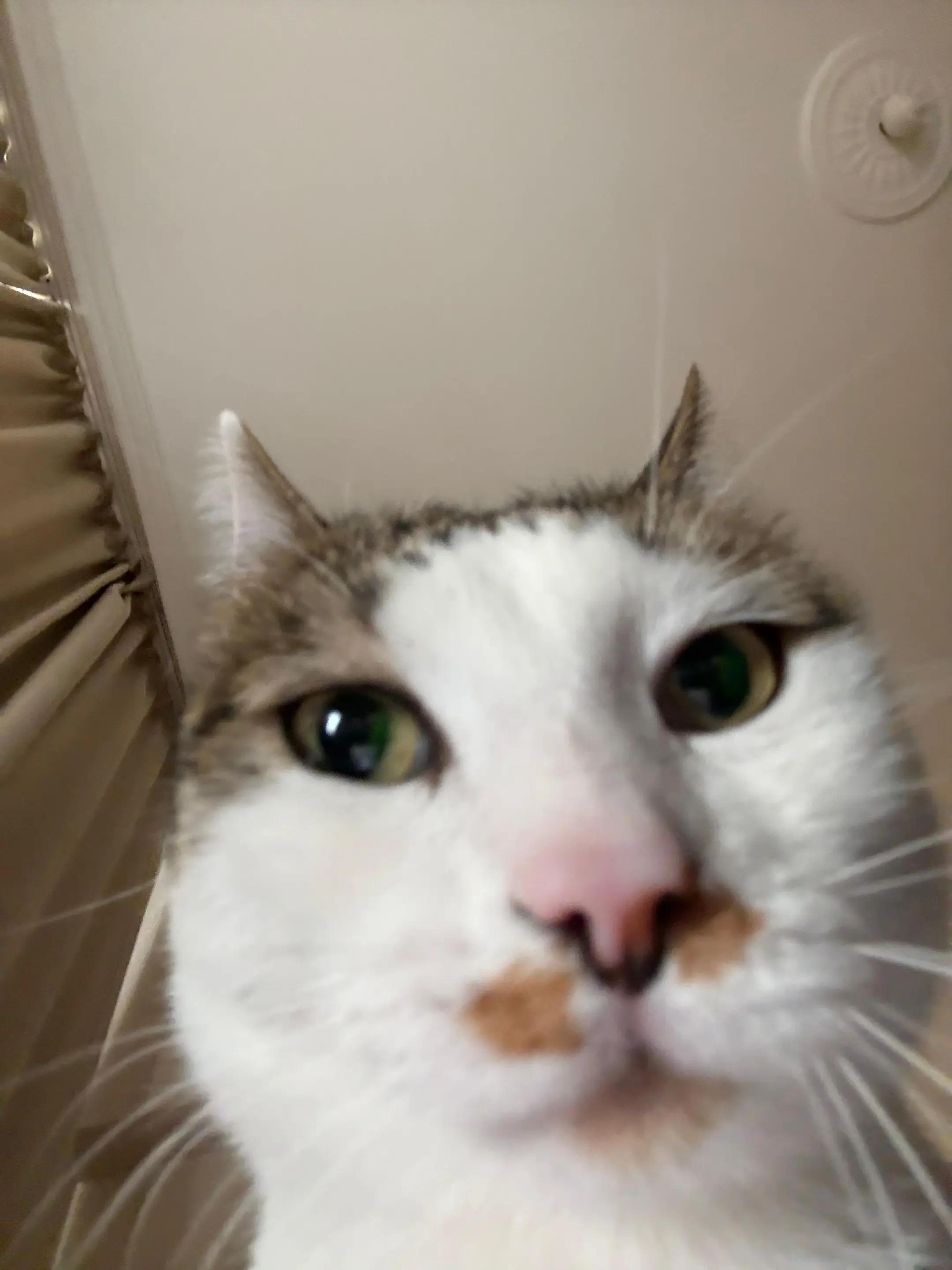 @coskunbalci