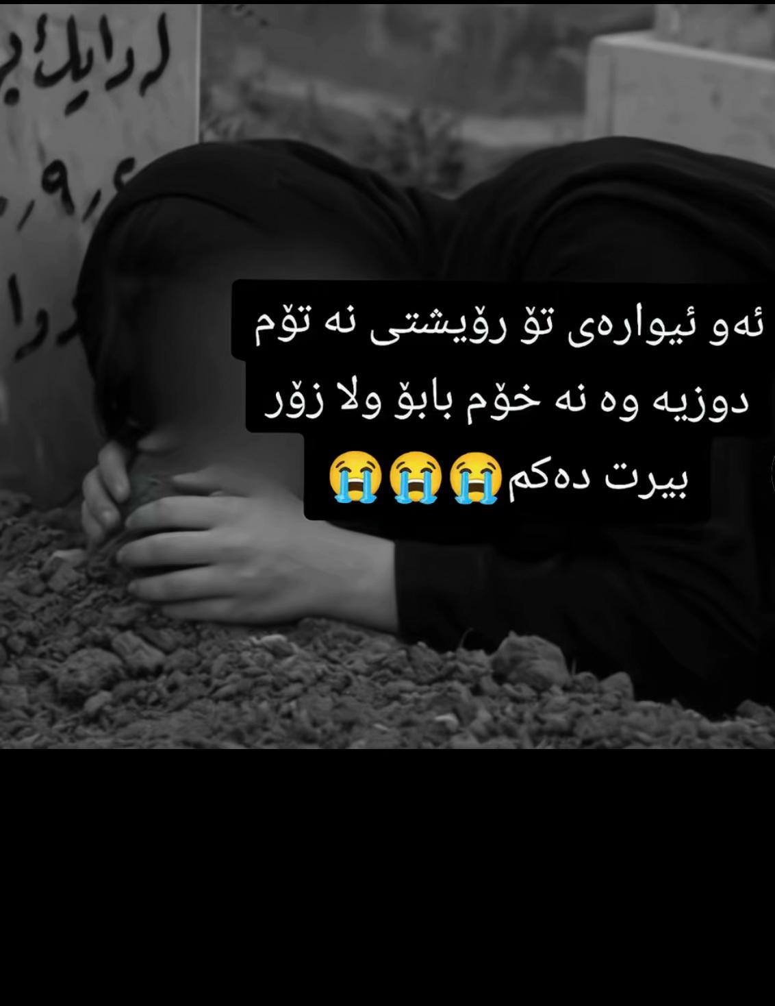 @🤍﮼بەرخە ﮼سپیەکەم