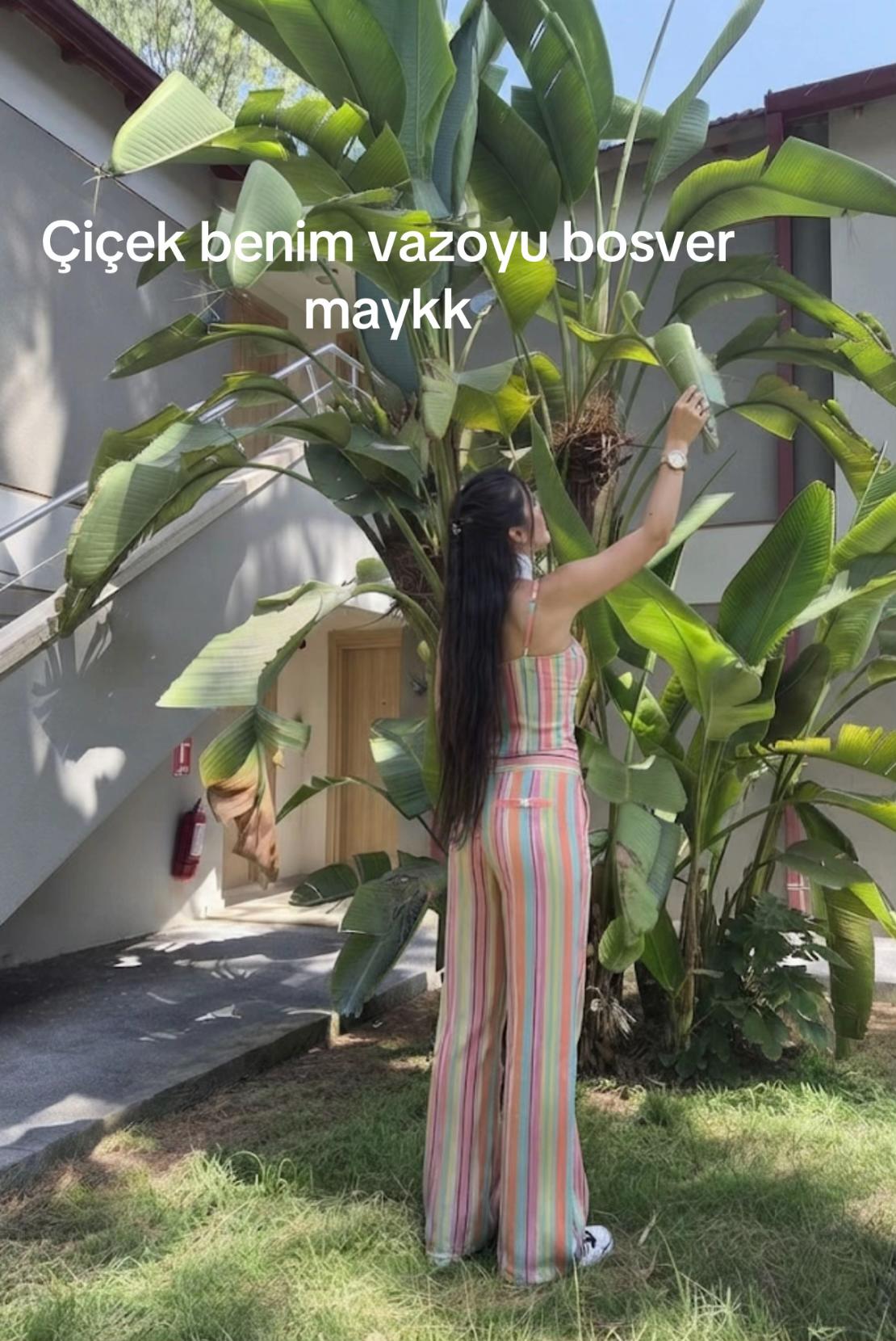 @Begüş🧚♀️
