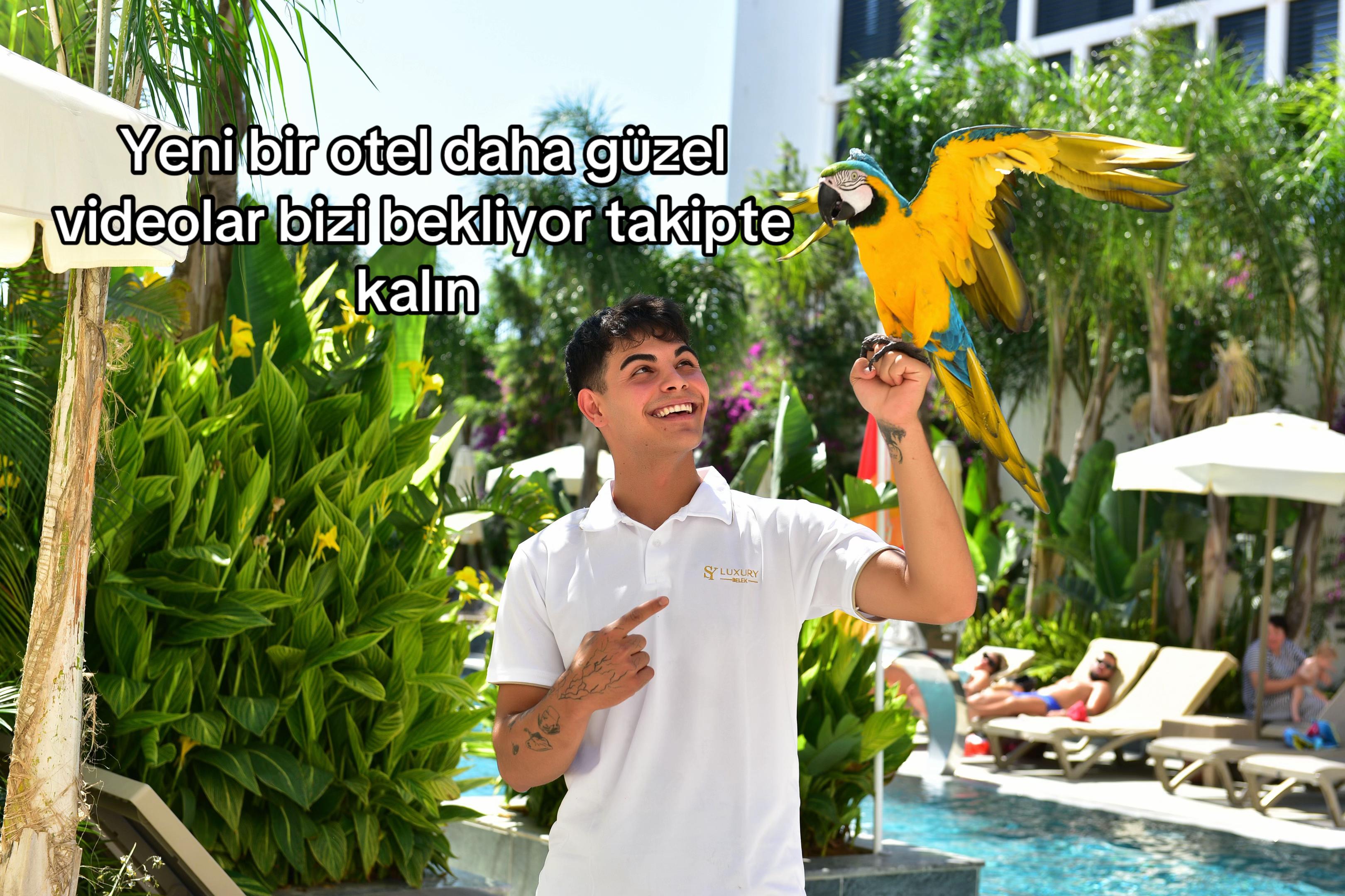 @Skateoguz