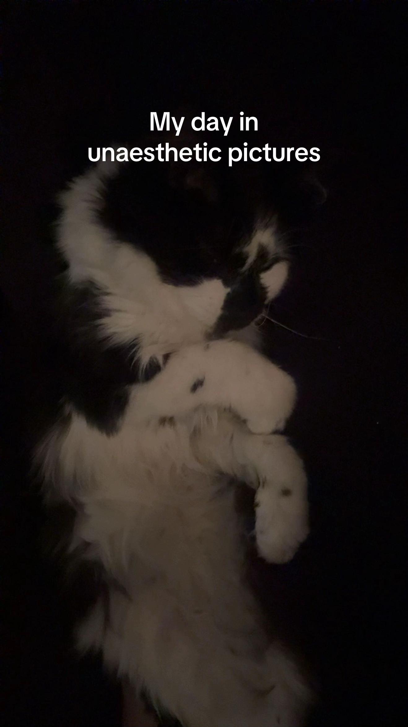 @J