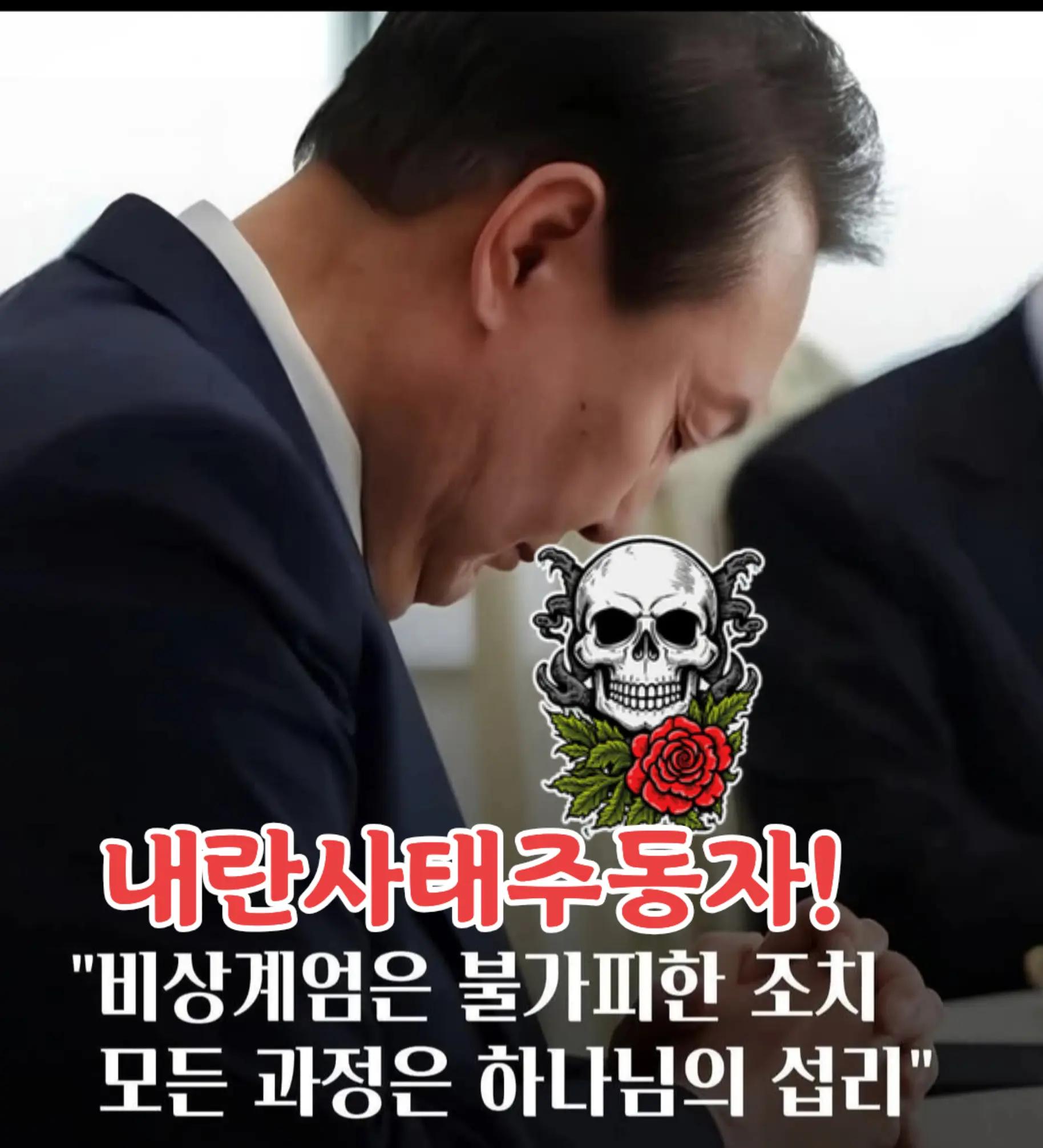 @🌺시라소니[본]🌺