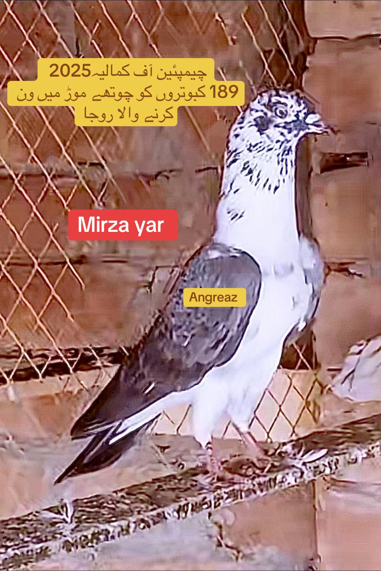 @Mirza Yar Mirza Yar