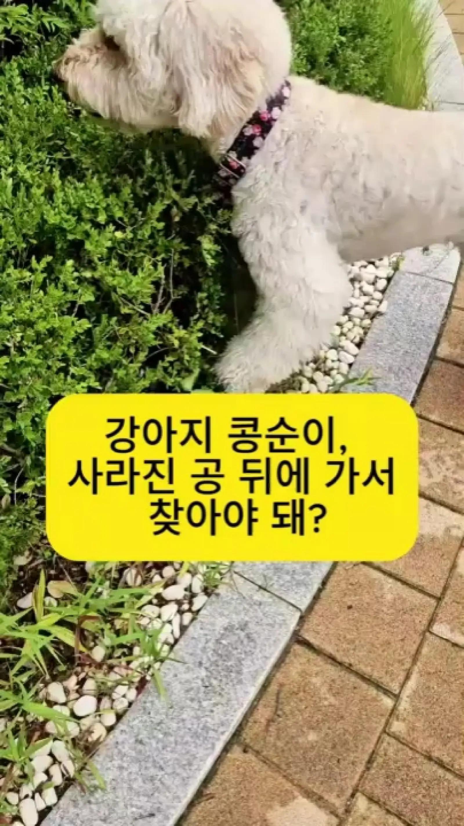 @백서현218