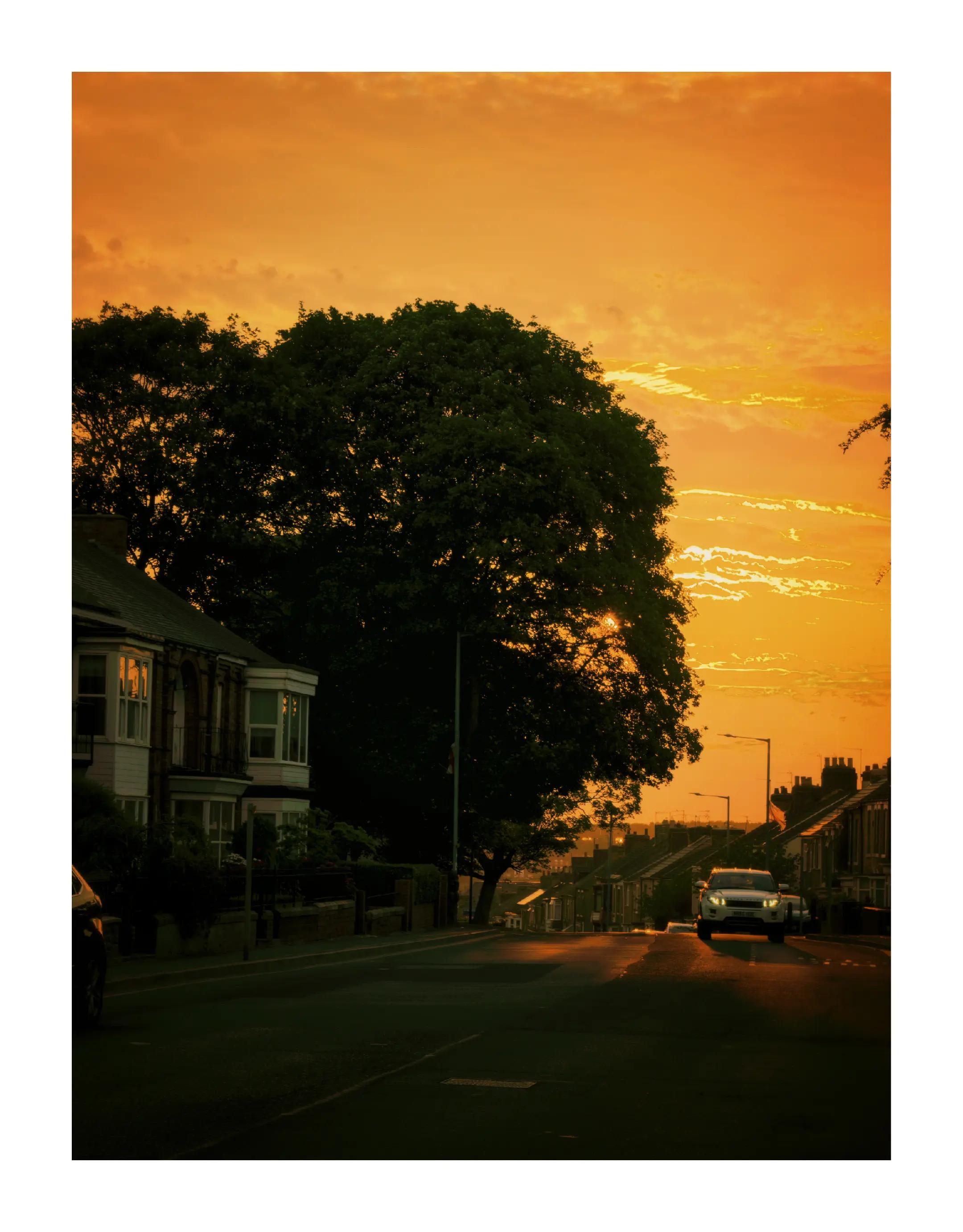 @David Mark Photography