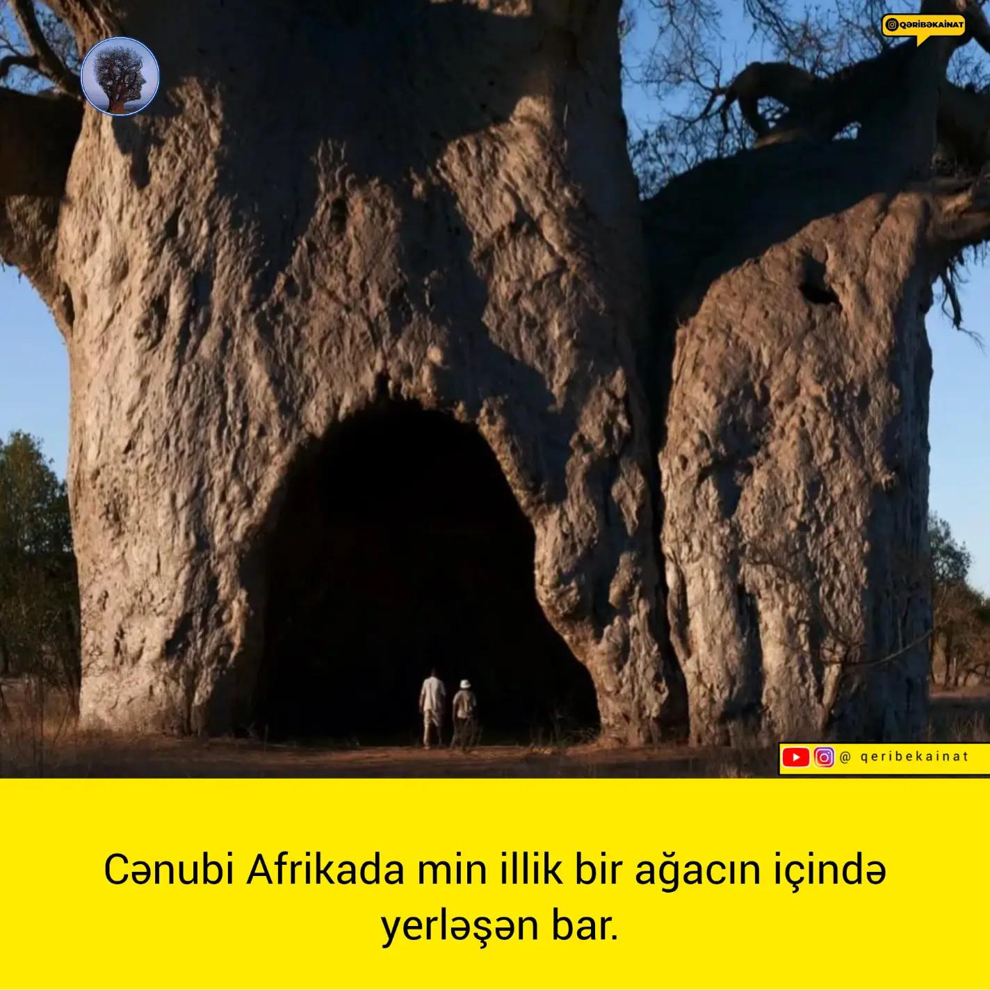 @qeribekainat