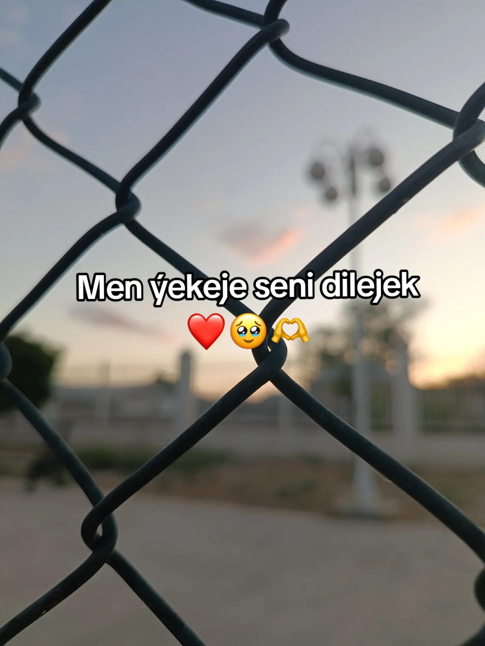 @𝙂𝙖𝙯𝙖𝙠𝙊𝙁𝙁🦈