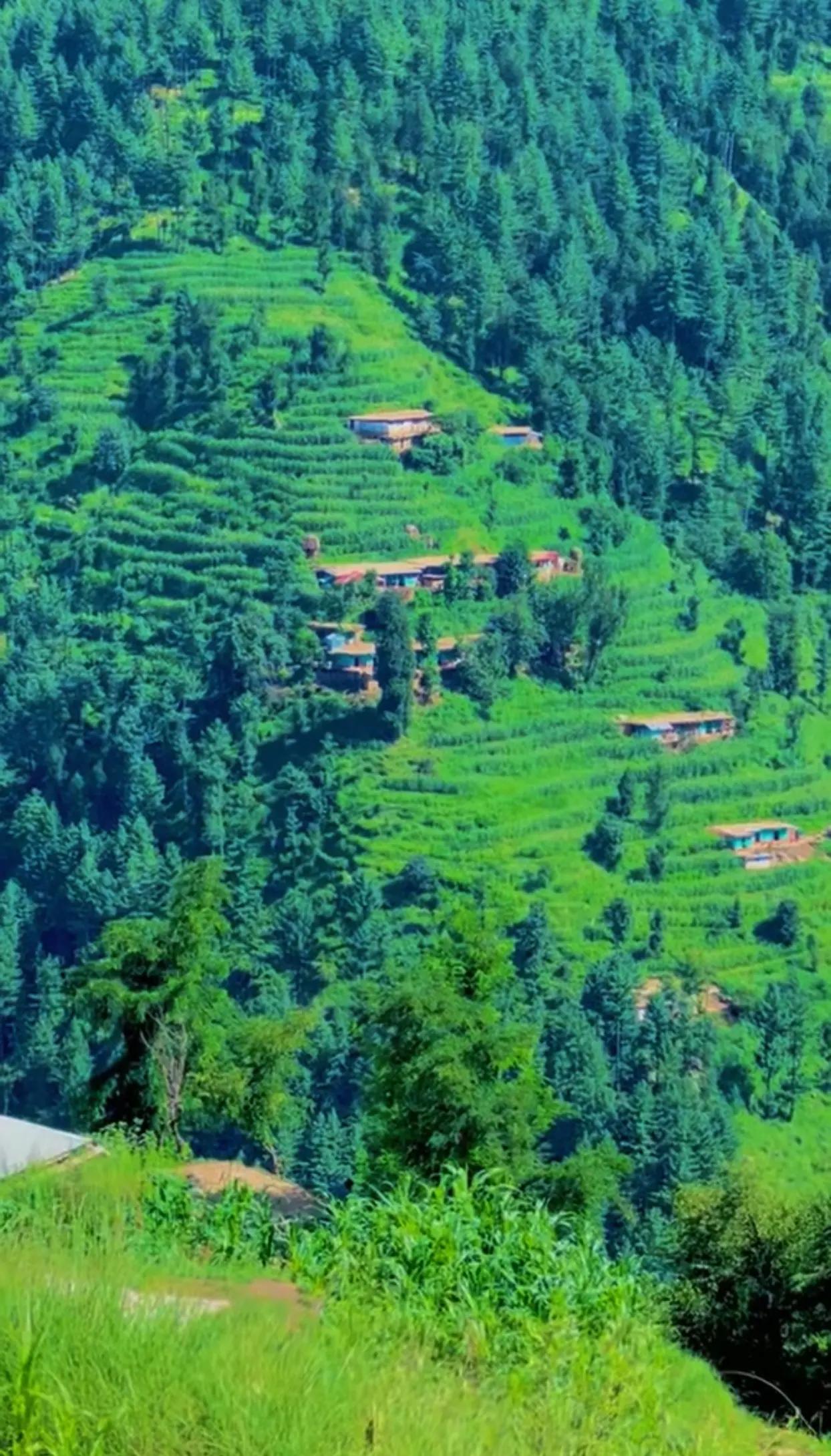 @khansher230