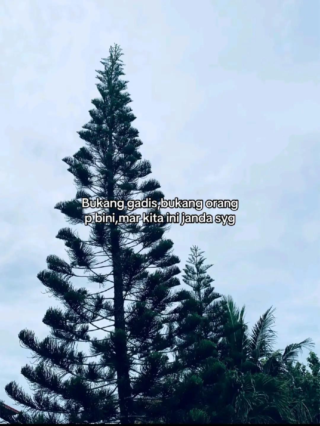@fei ?