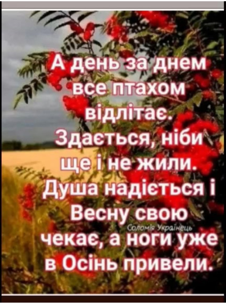 @Мария Ореховская