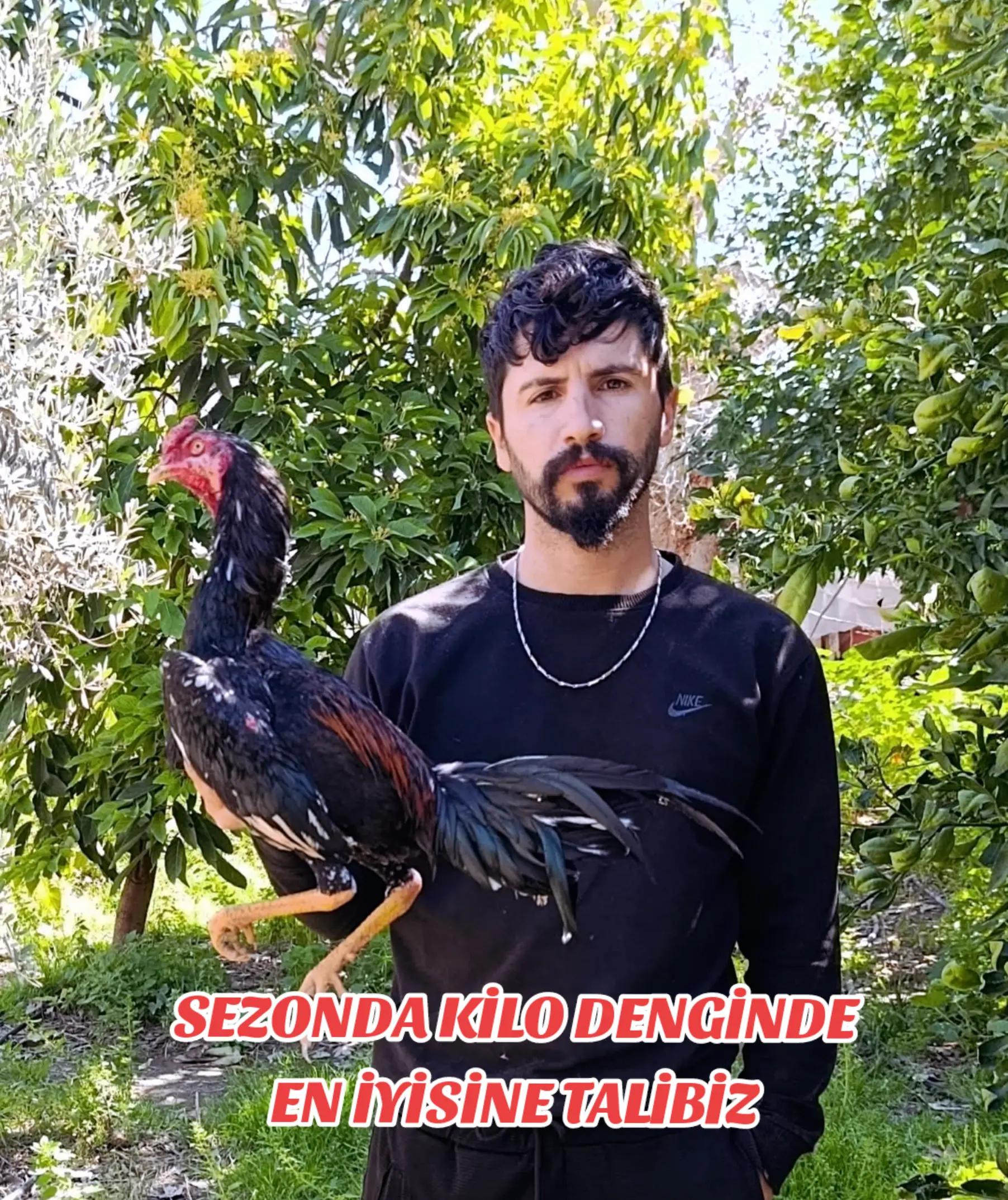 @HOROZCU CANE 🐓