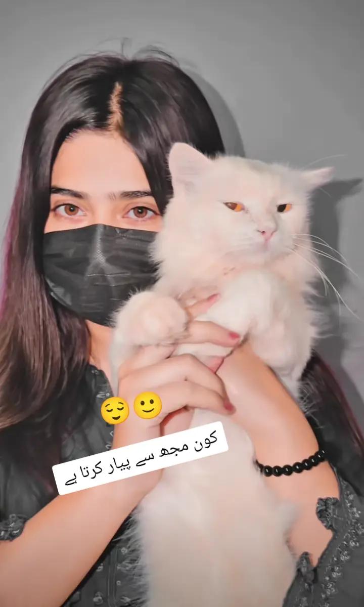 @Kiran shehzadi