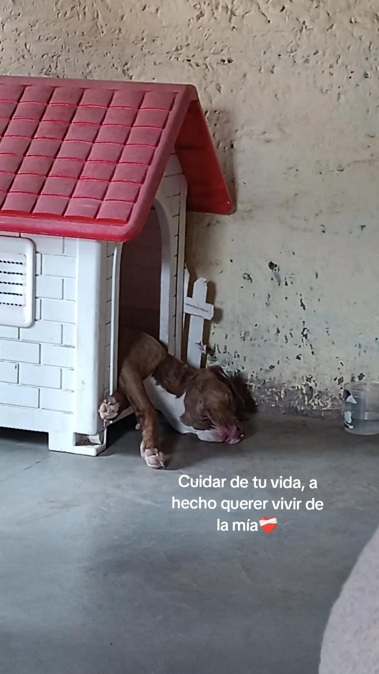 @️Noe:)