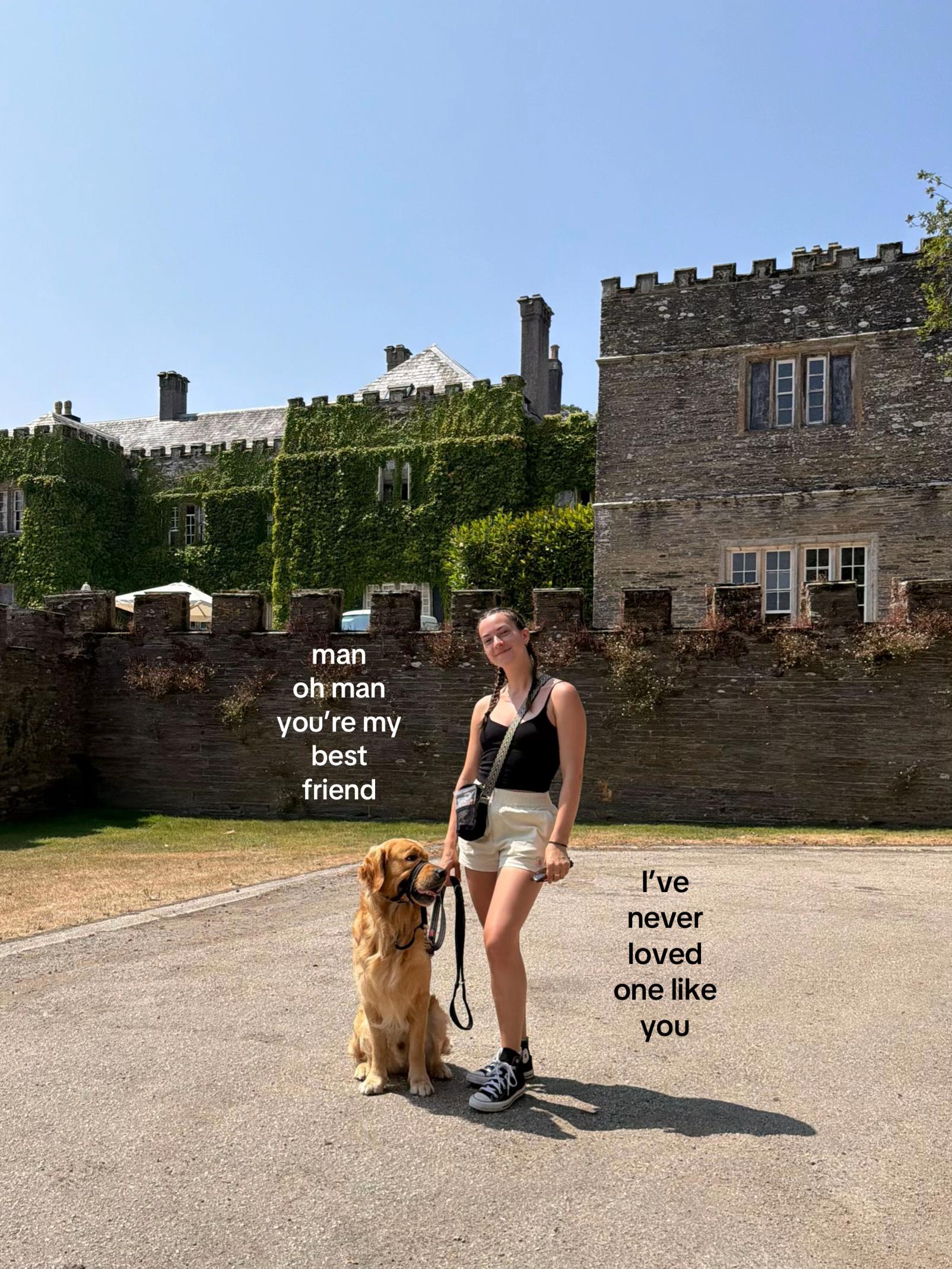 @Joey The Golden