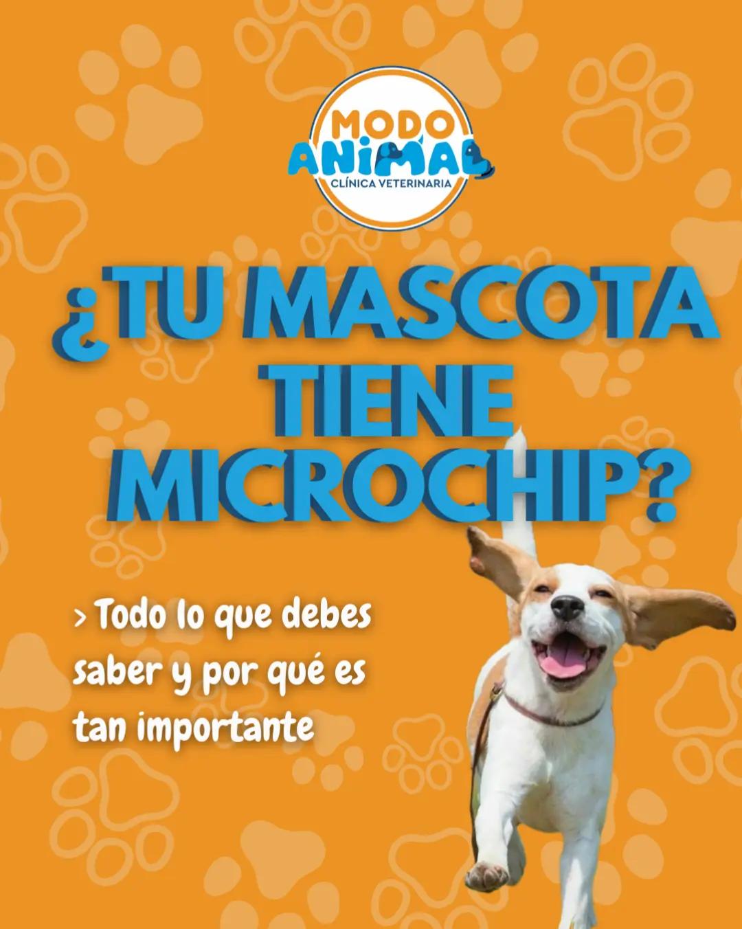 @VetModoAnimal