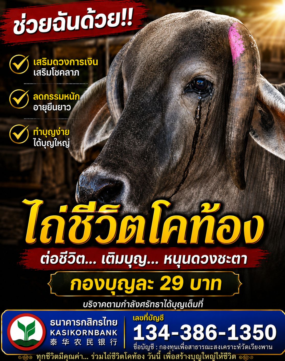 @ทีวีพูล TVPOOL