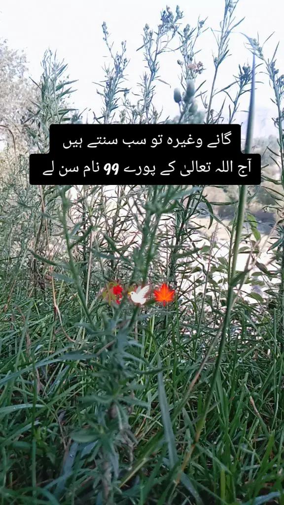 @✨Zahir_khan✨